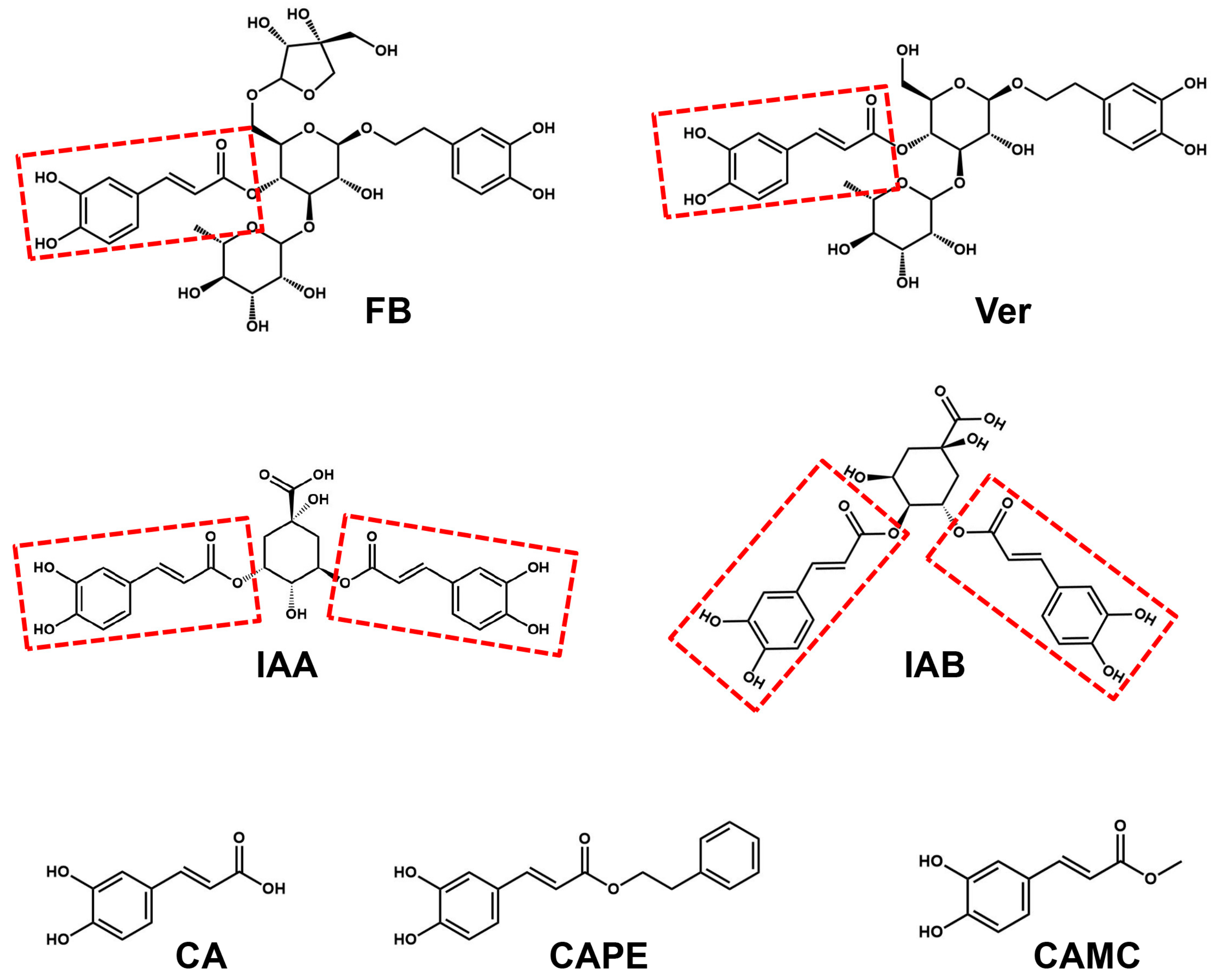 Molecules 29 03728 g001 Molecules 29 03728 g001