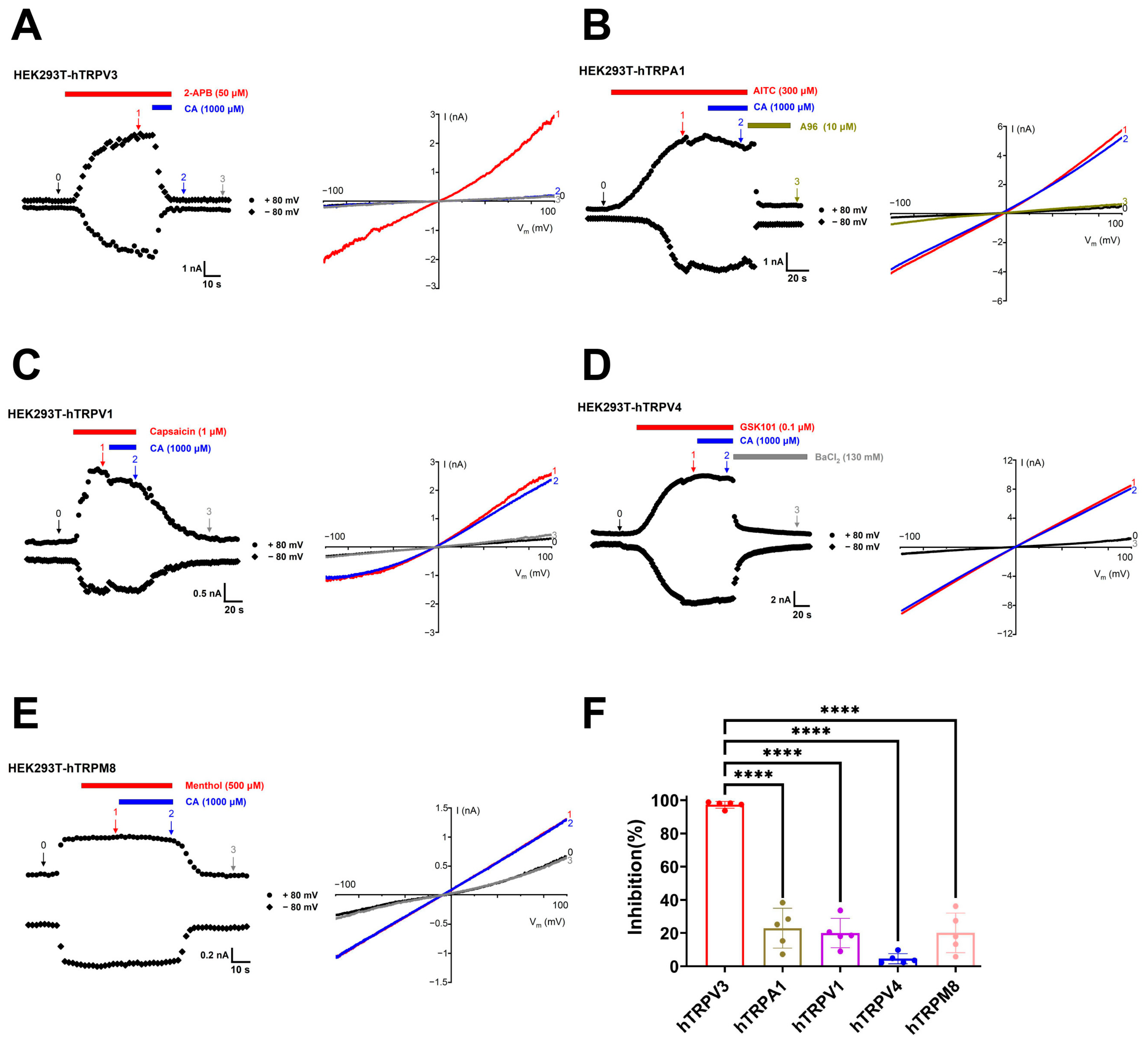 Molecules 29 03728 g004 Molecules 29 03728 g004
