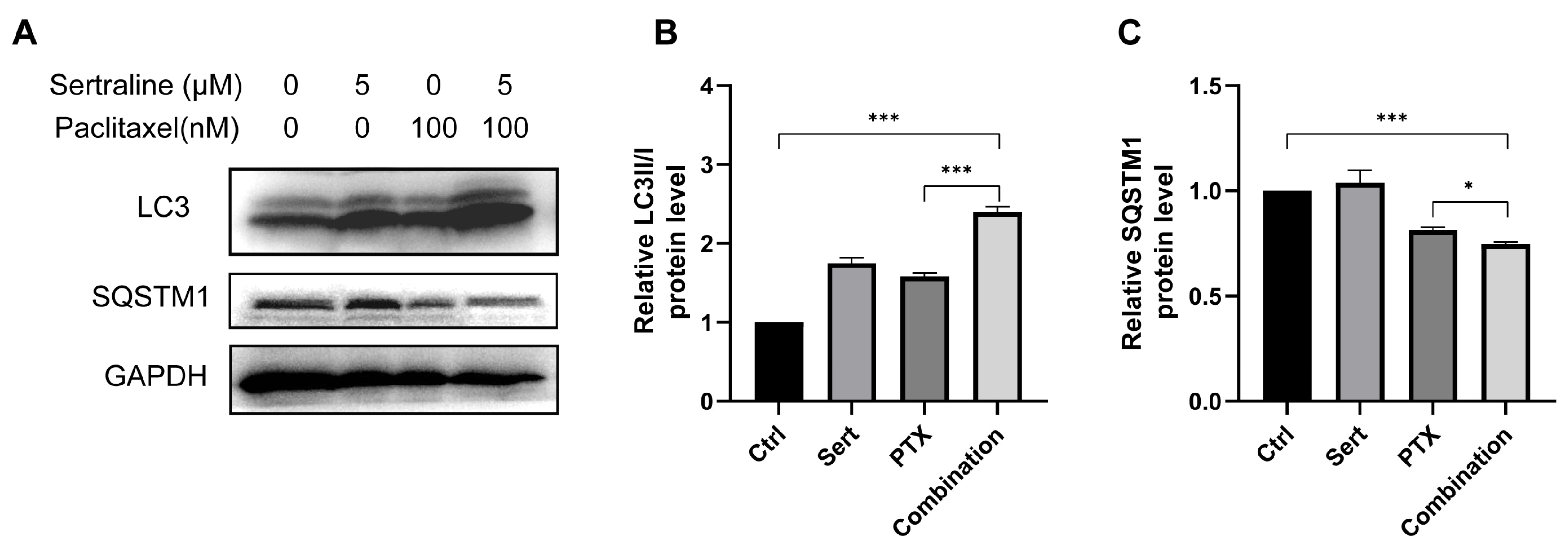 Molecules 29 03733 g003