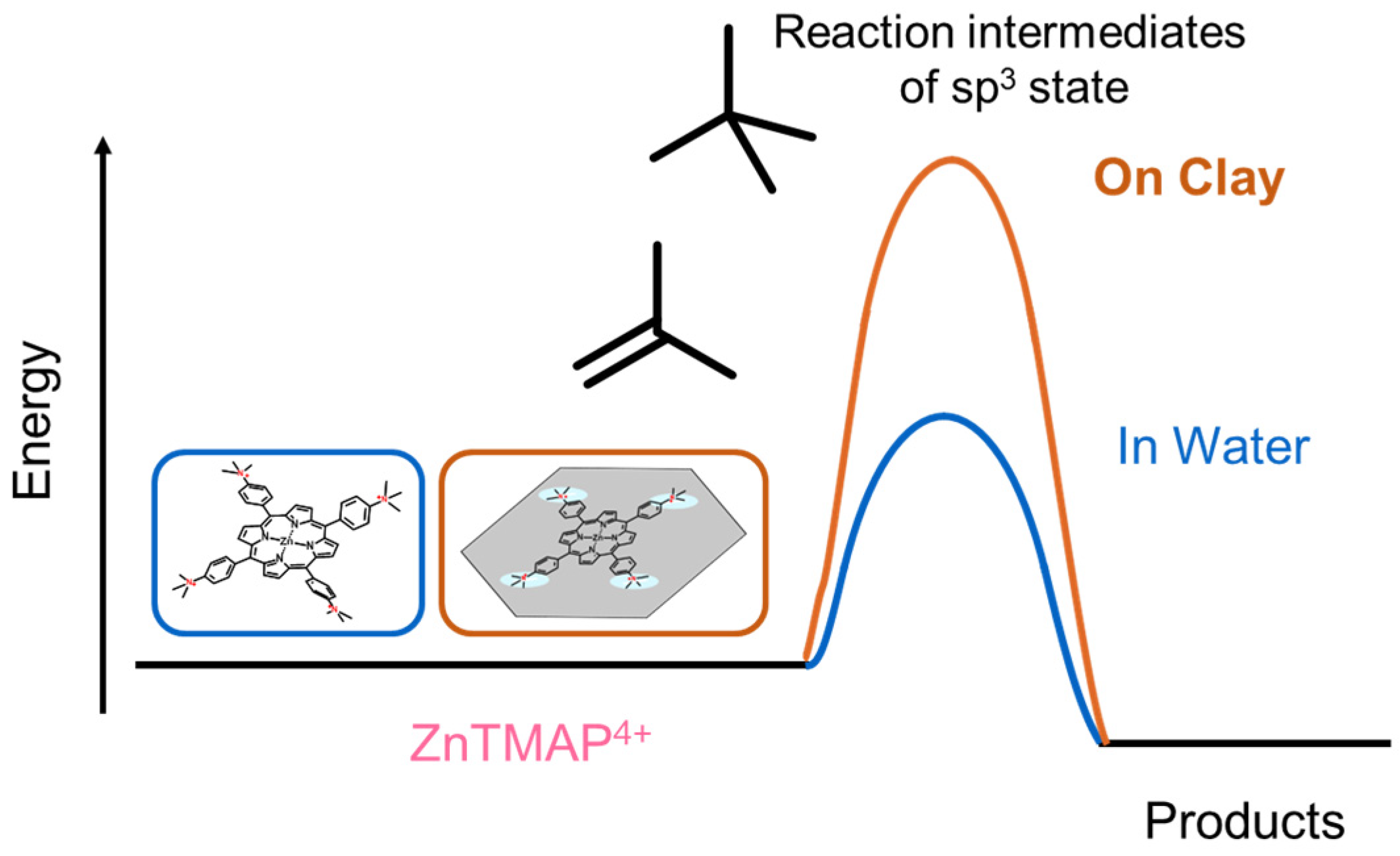Molecules 29 03738 g007