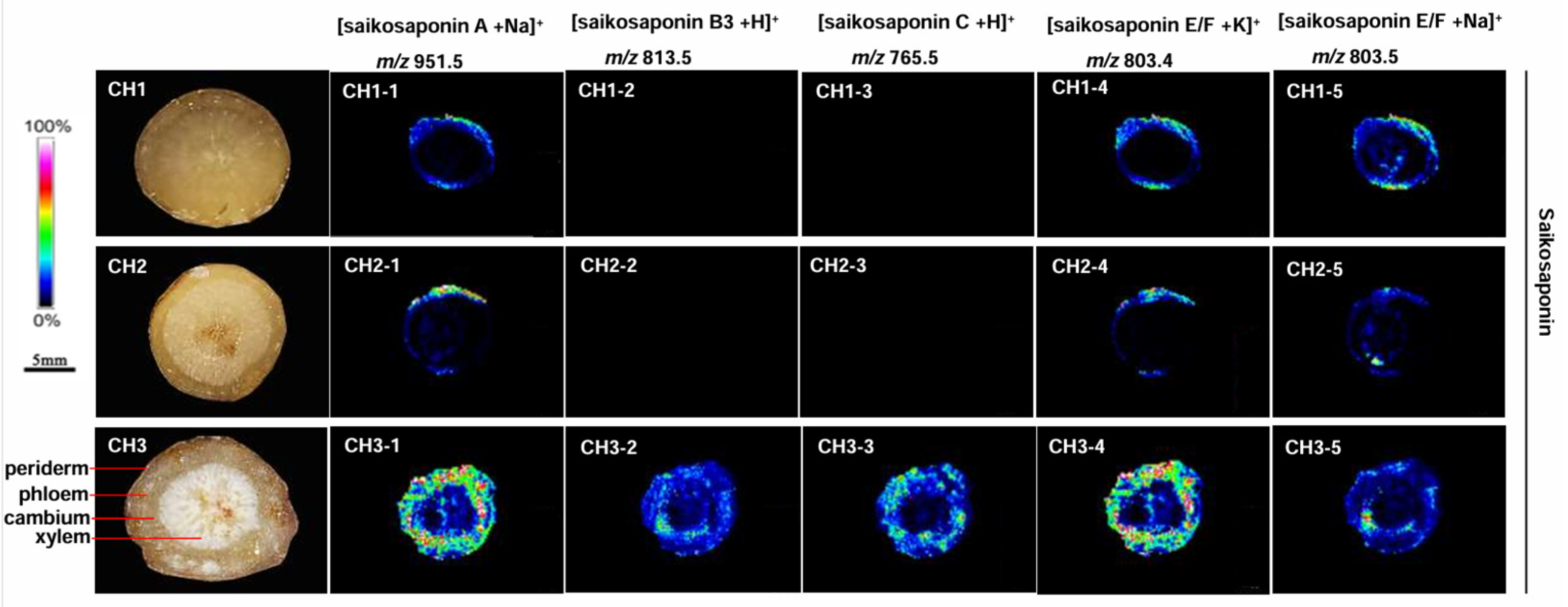 Molecules 29 03746 g004