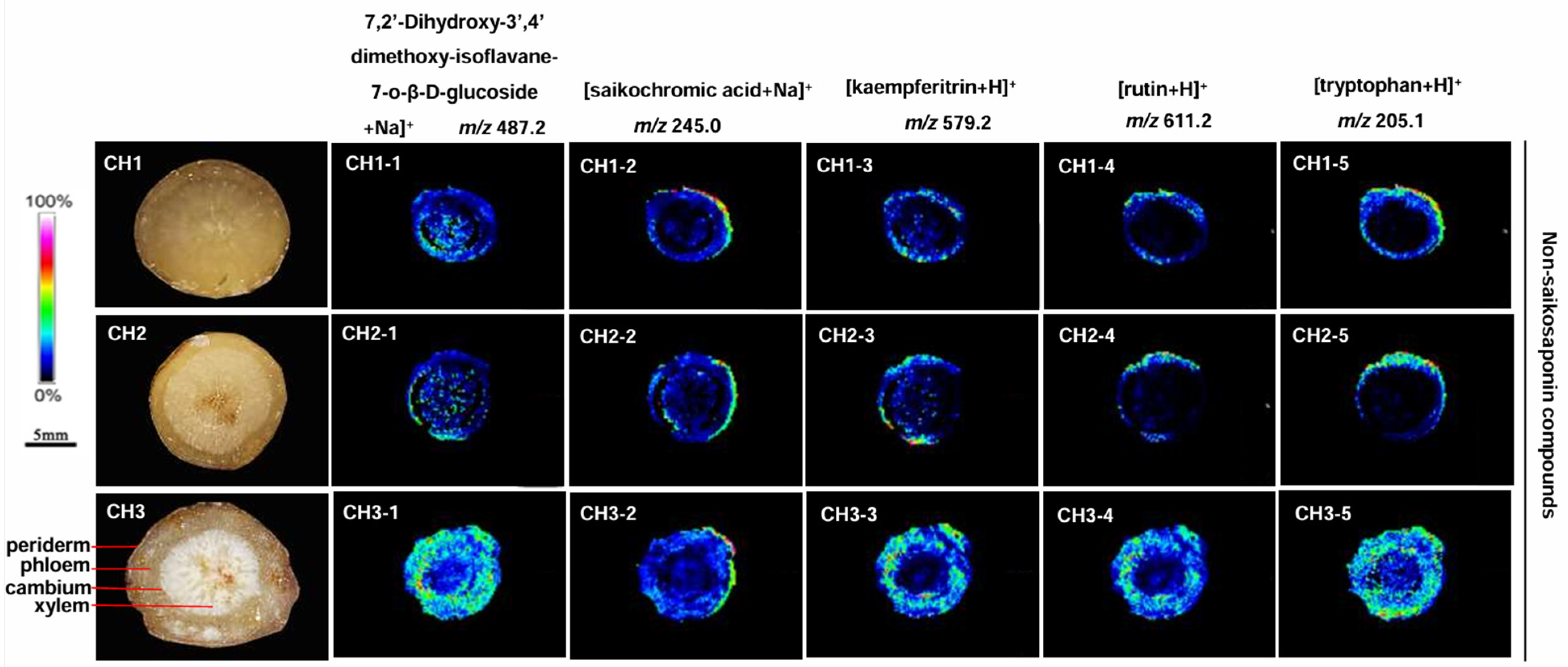 Molecules 29 03746 g006