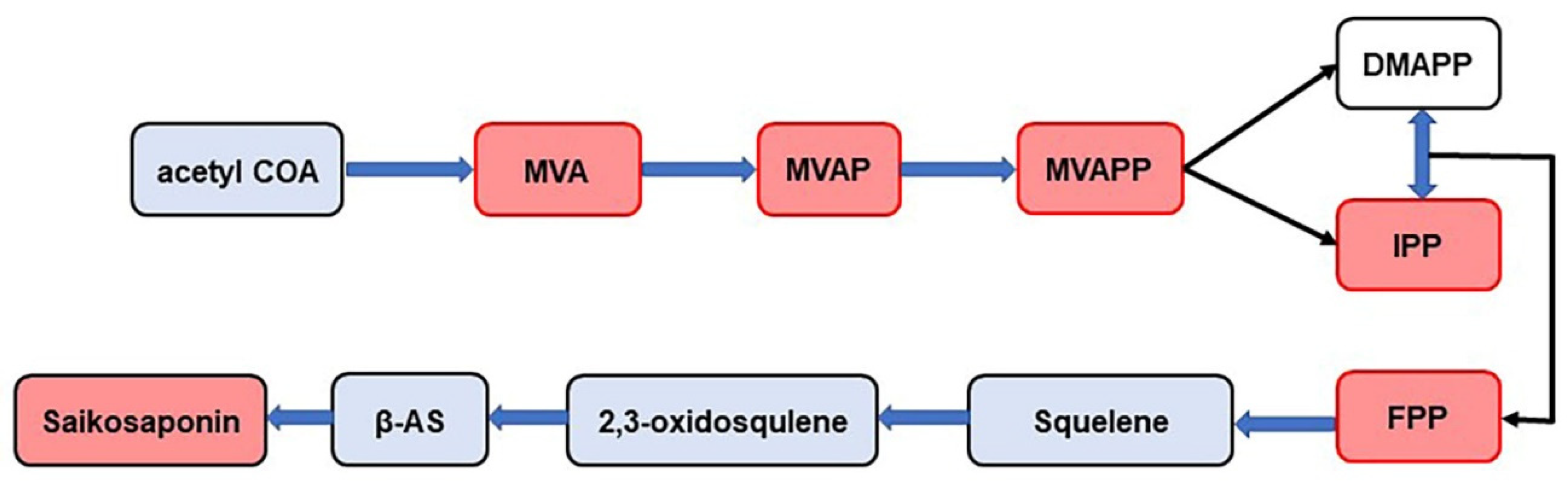 Molecules 29 03746 g008