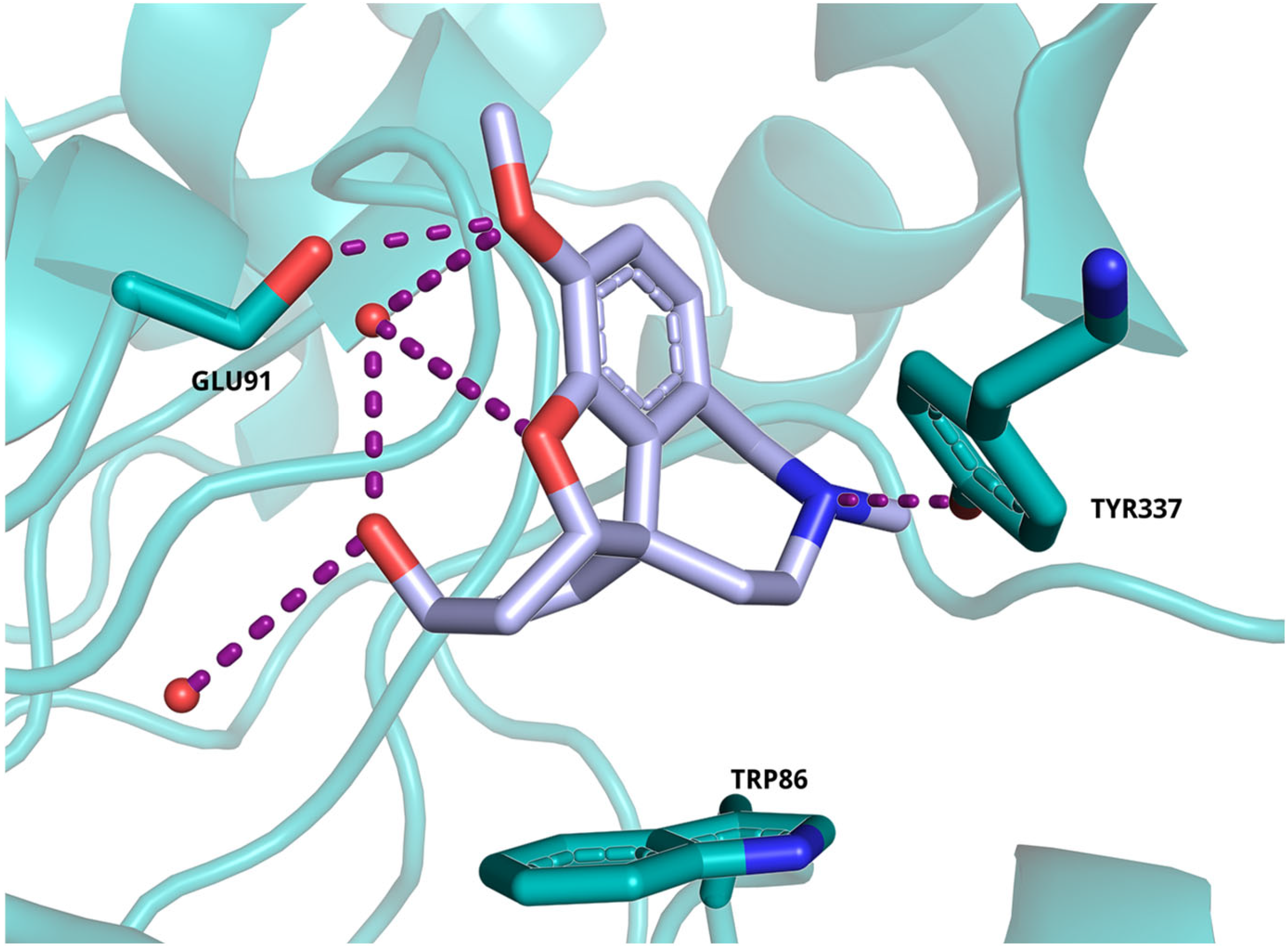 Molecules 29 03748 g010