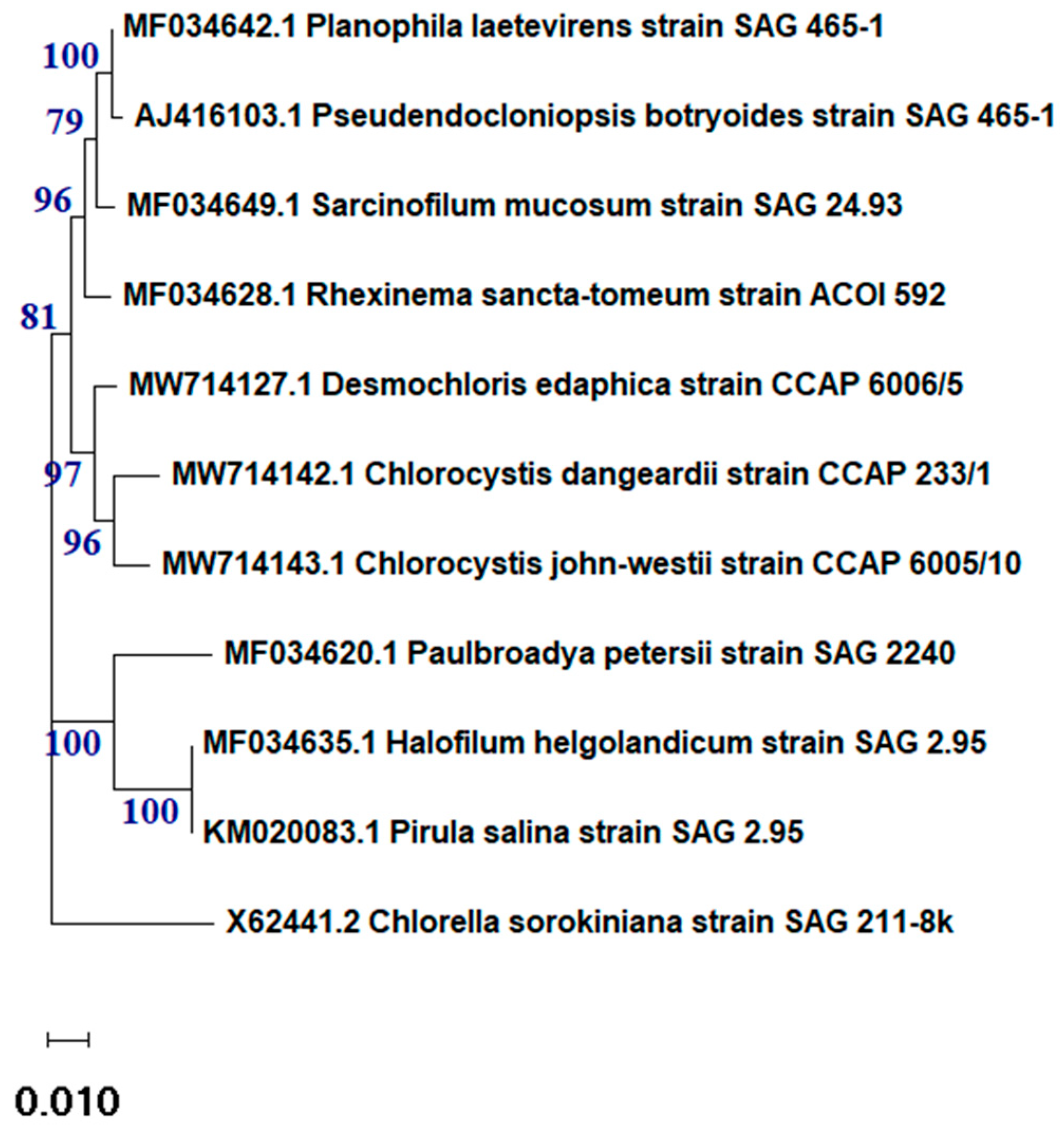 Molecules 29 03750 g001