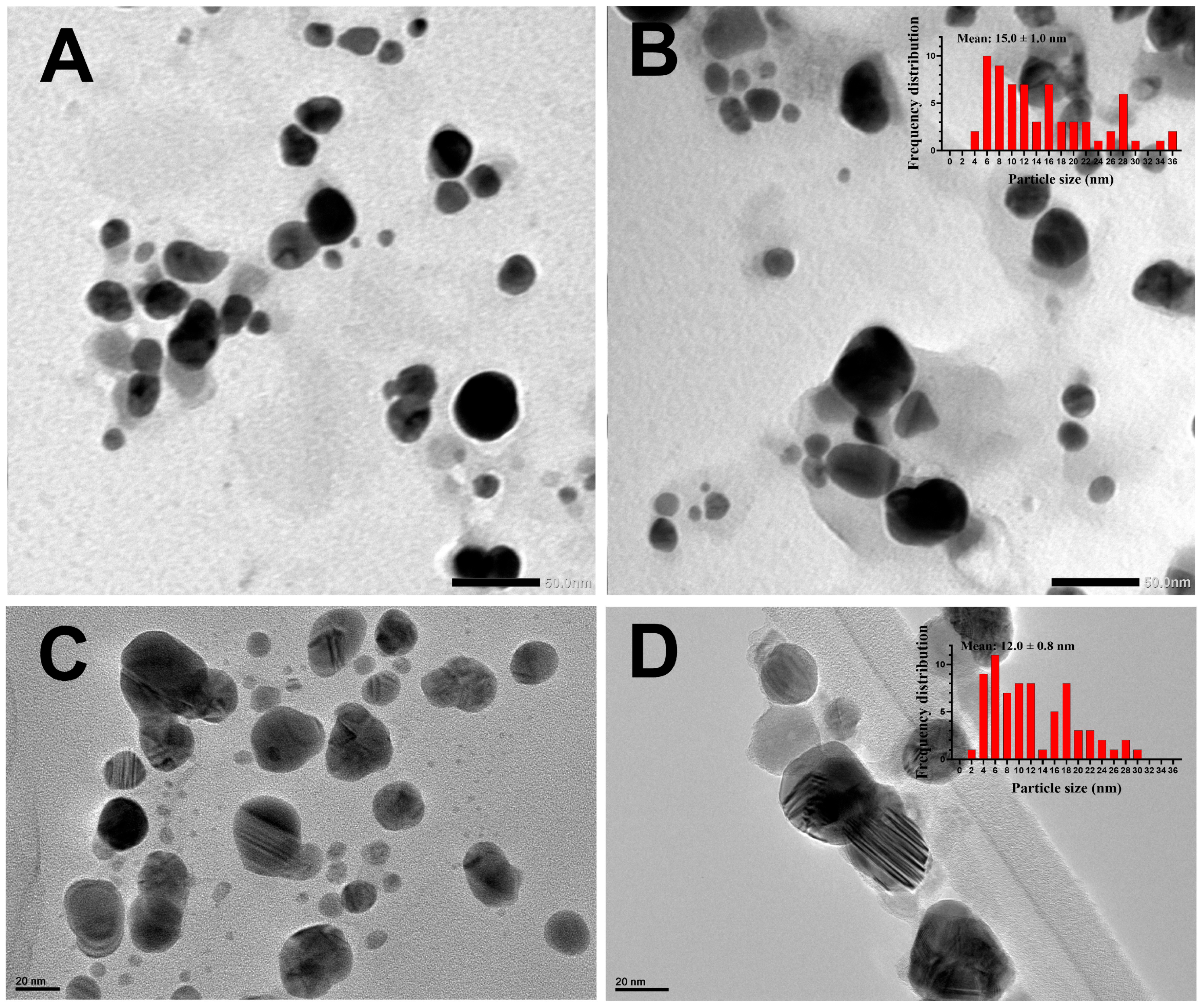 Molecules 29 03750 g005