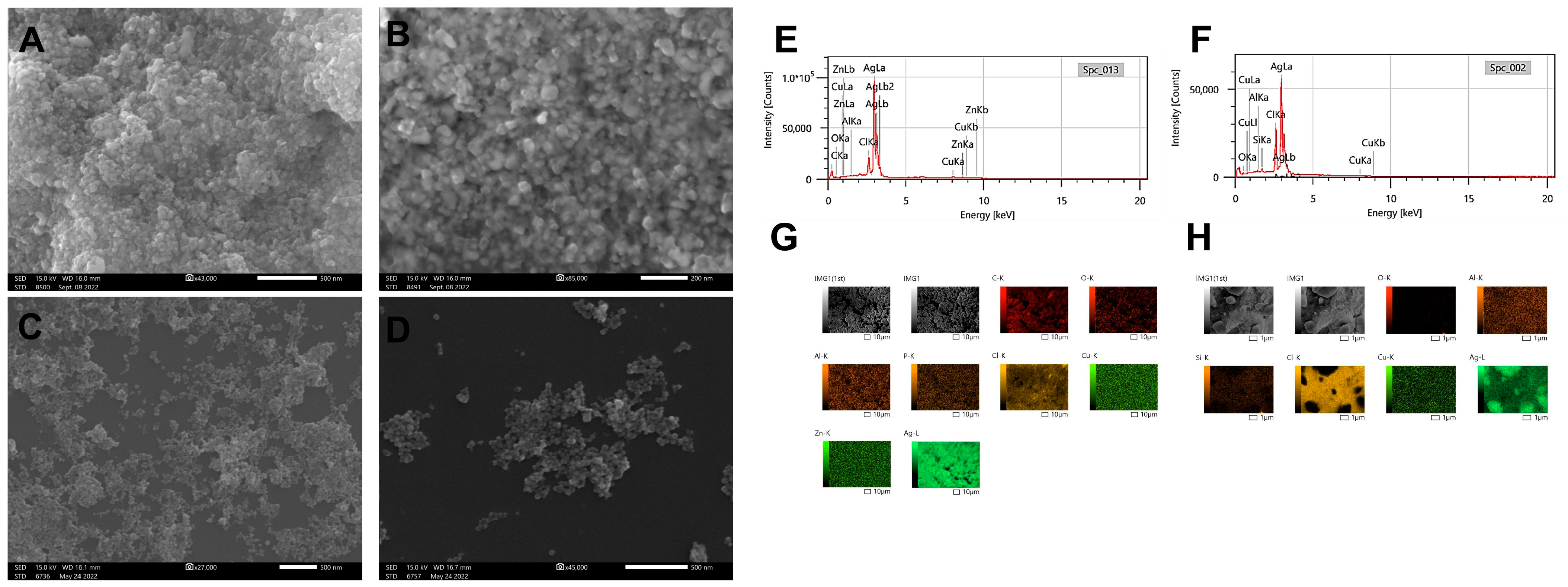 Molecules 29 03750 g006