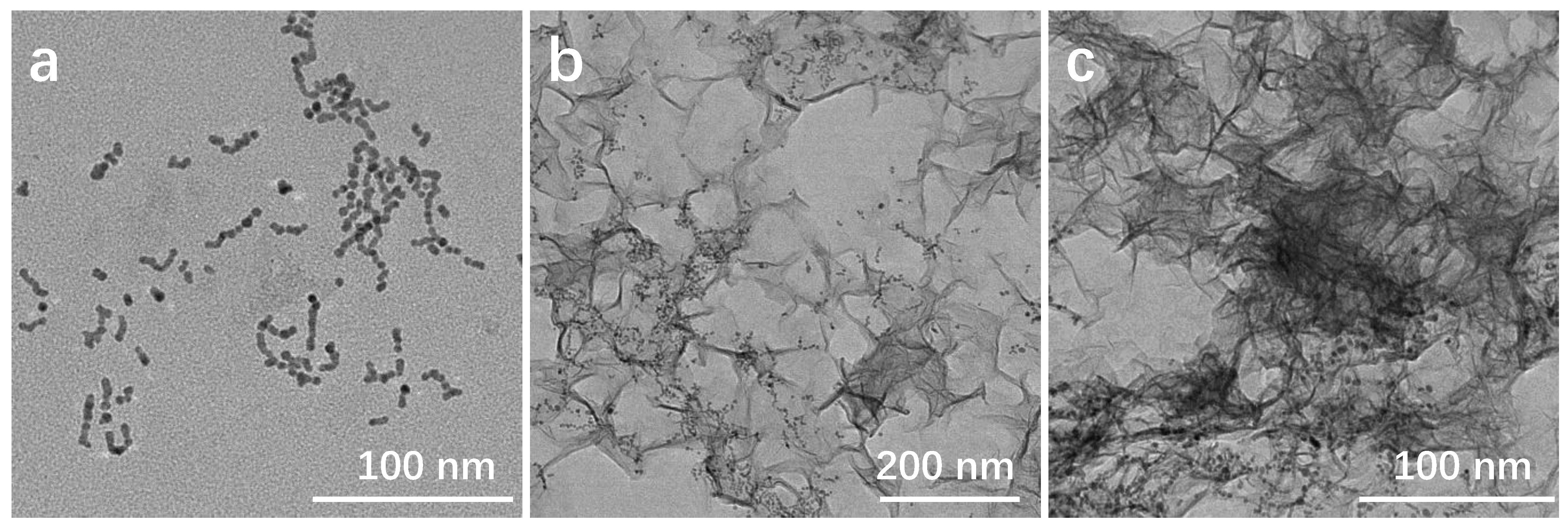 Molecules 29 03753 g003