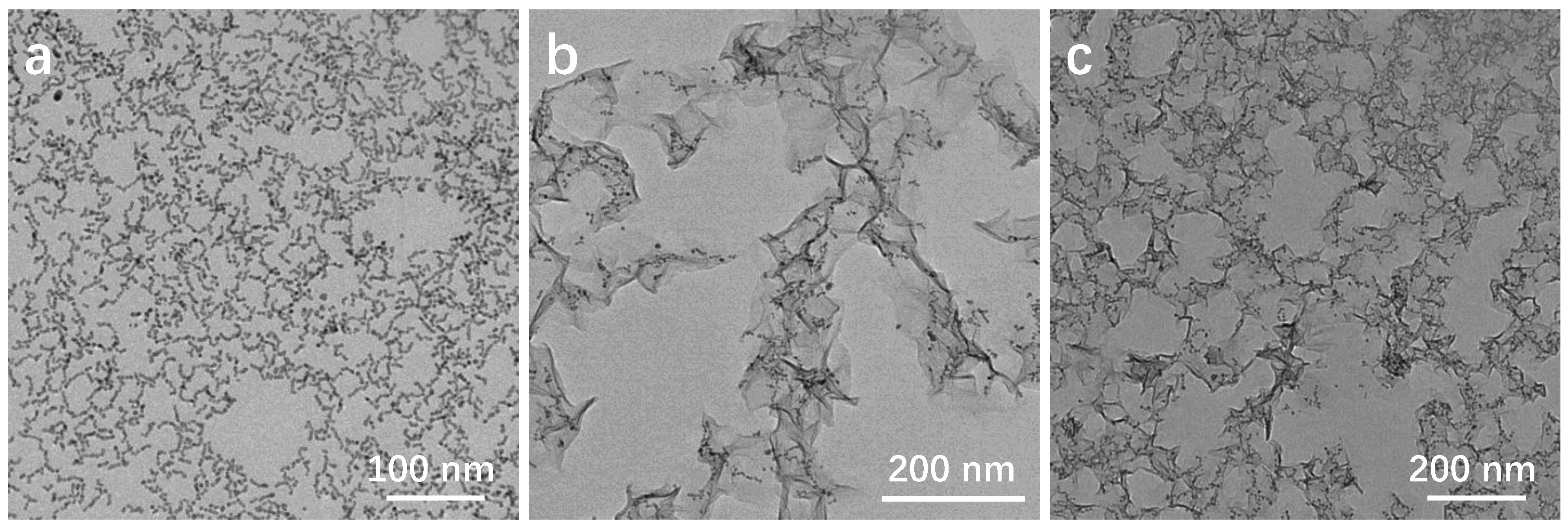 Molecules 29 03753 g004