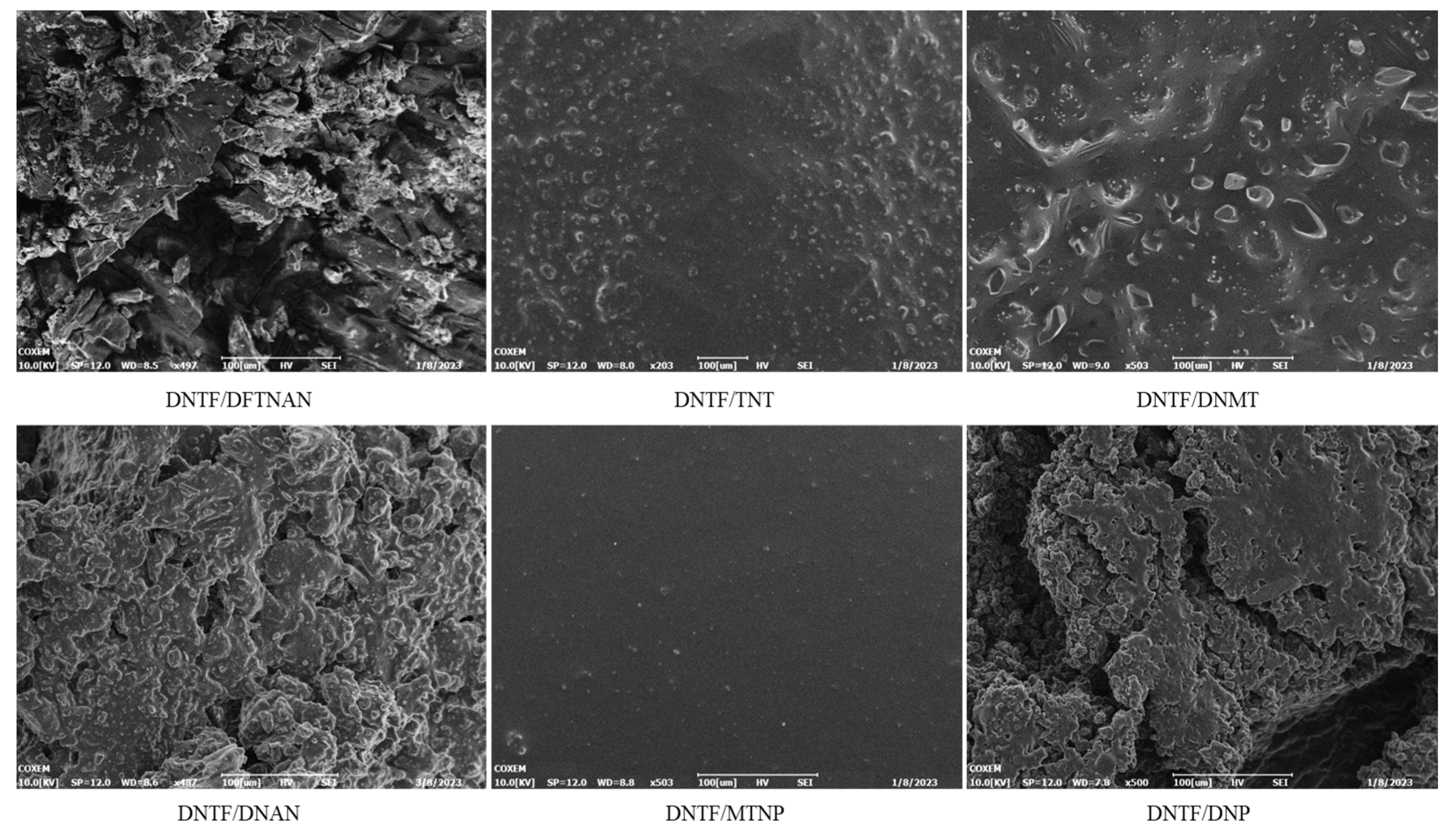 Molecules 29 03757 g005
