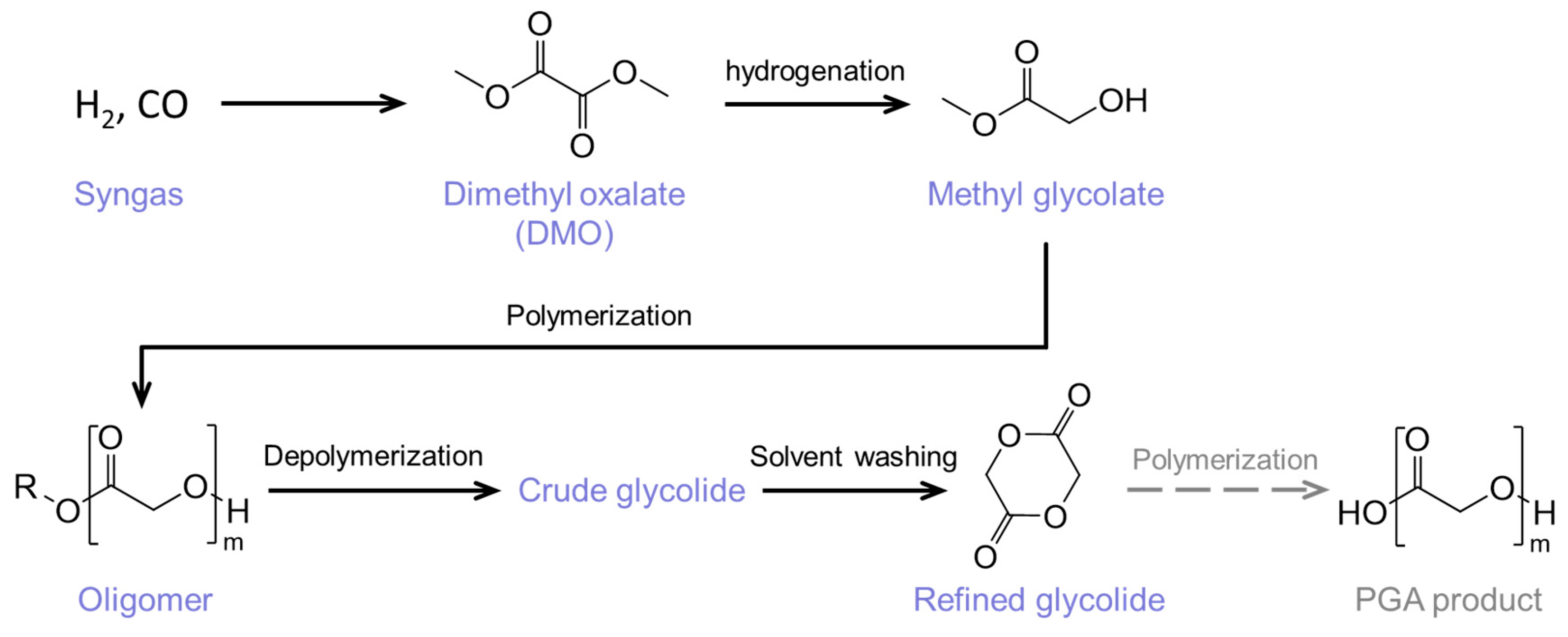 Molecules 29 03759 g005 Molecules 29 03759 g005