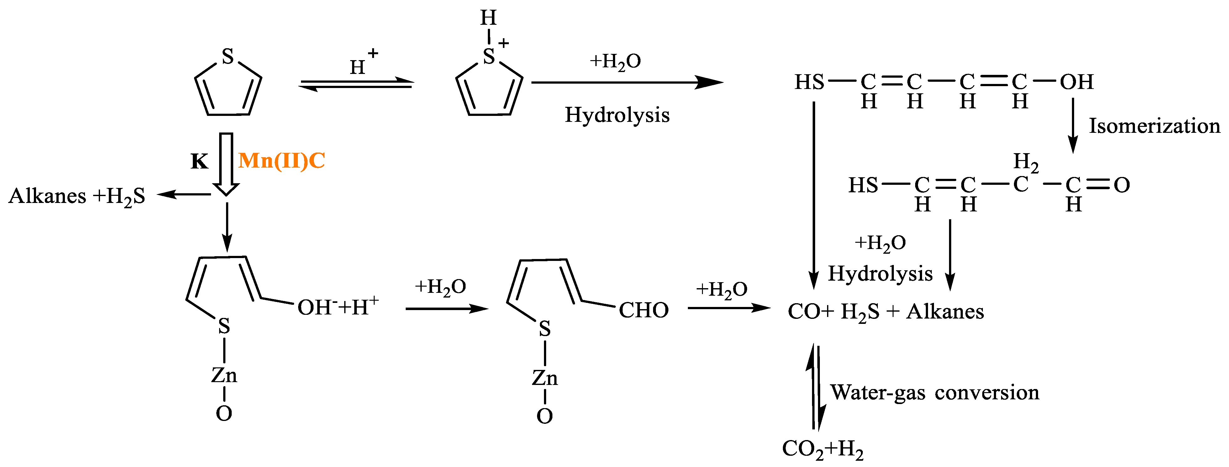 Molecules 29 03761 g018