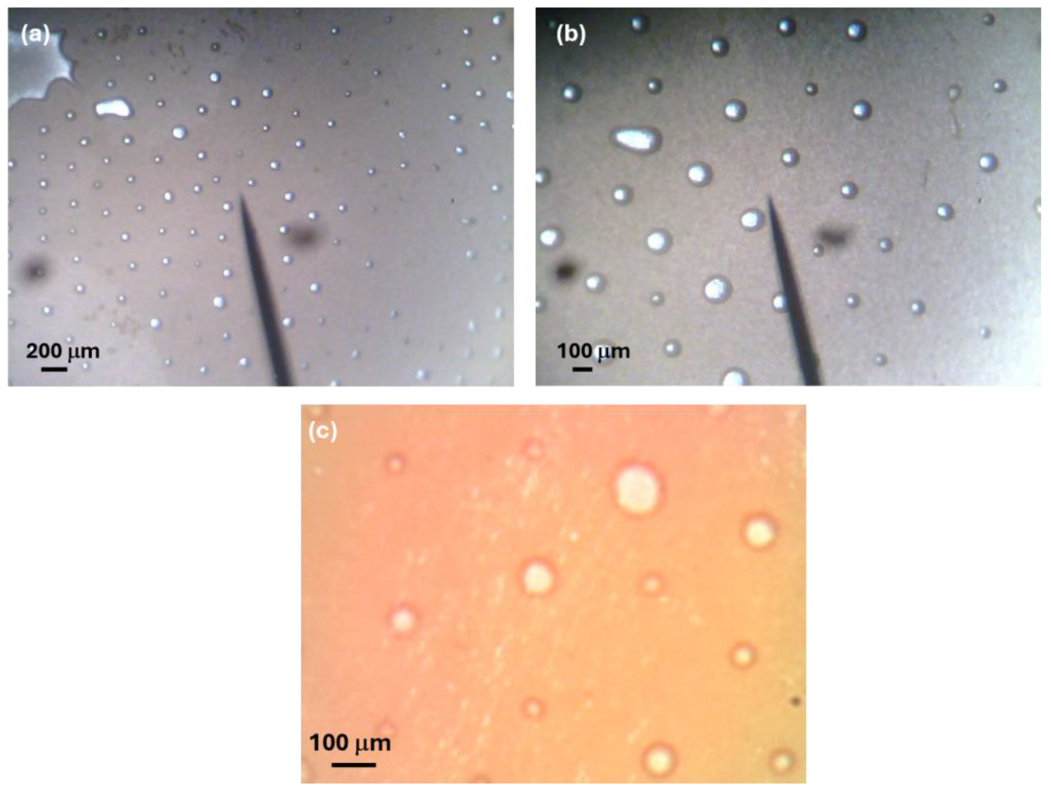 Molecules 29 03762 g001
