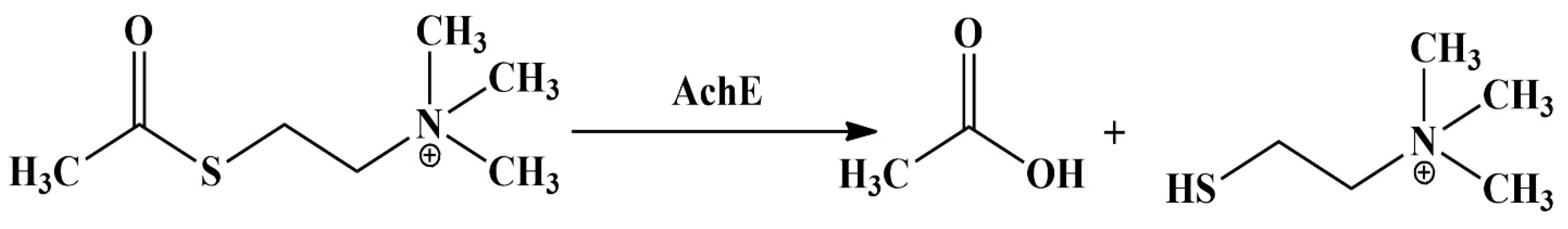 Molecules 29 03763 g004