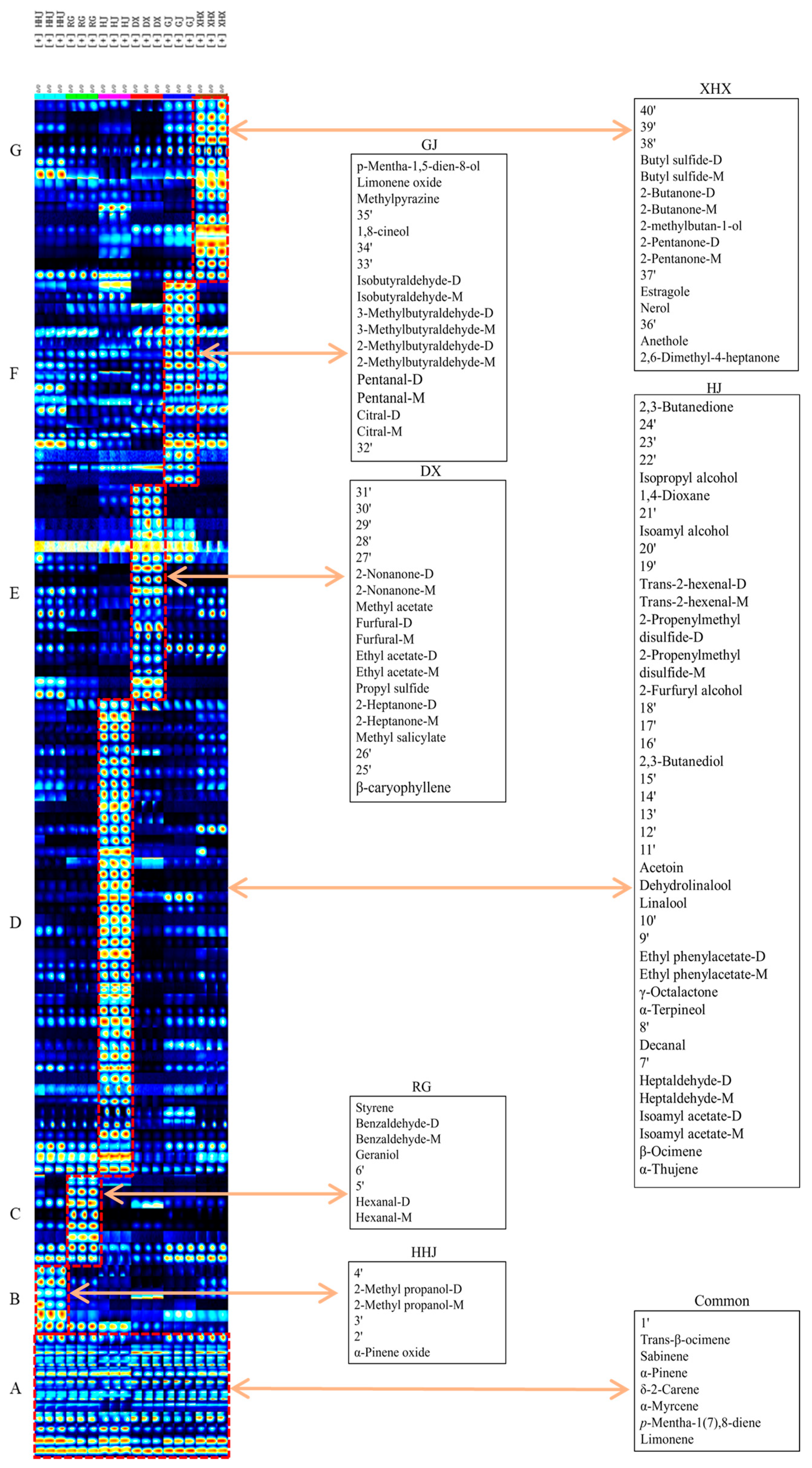 Molecules 29 03764 g002
