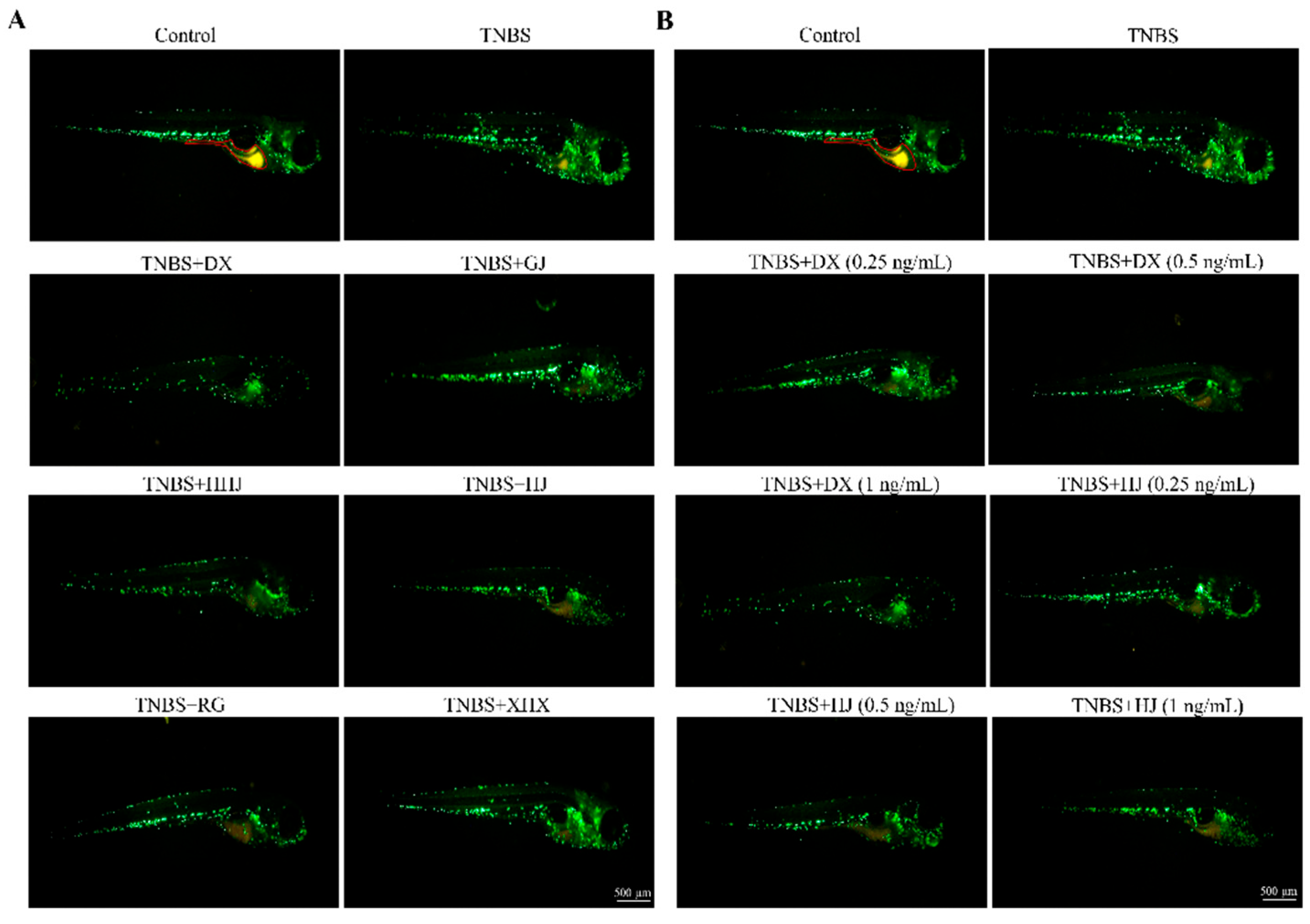 Molecules 29 03764 g005a