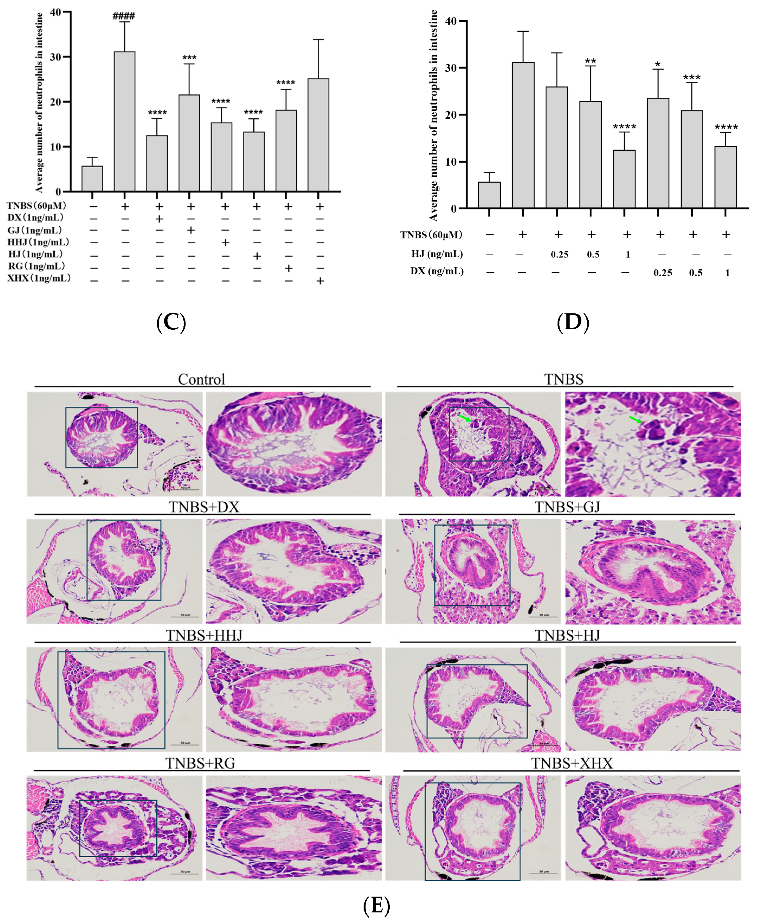Molecules 29 03764 g005b
