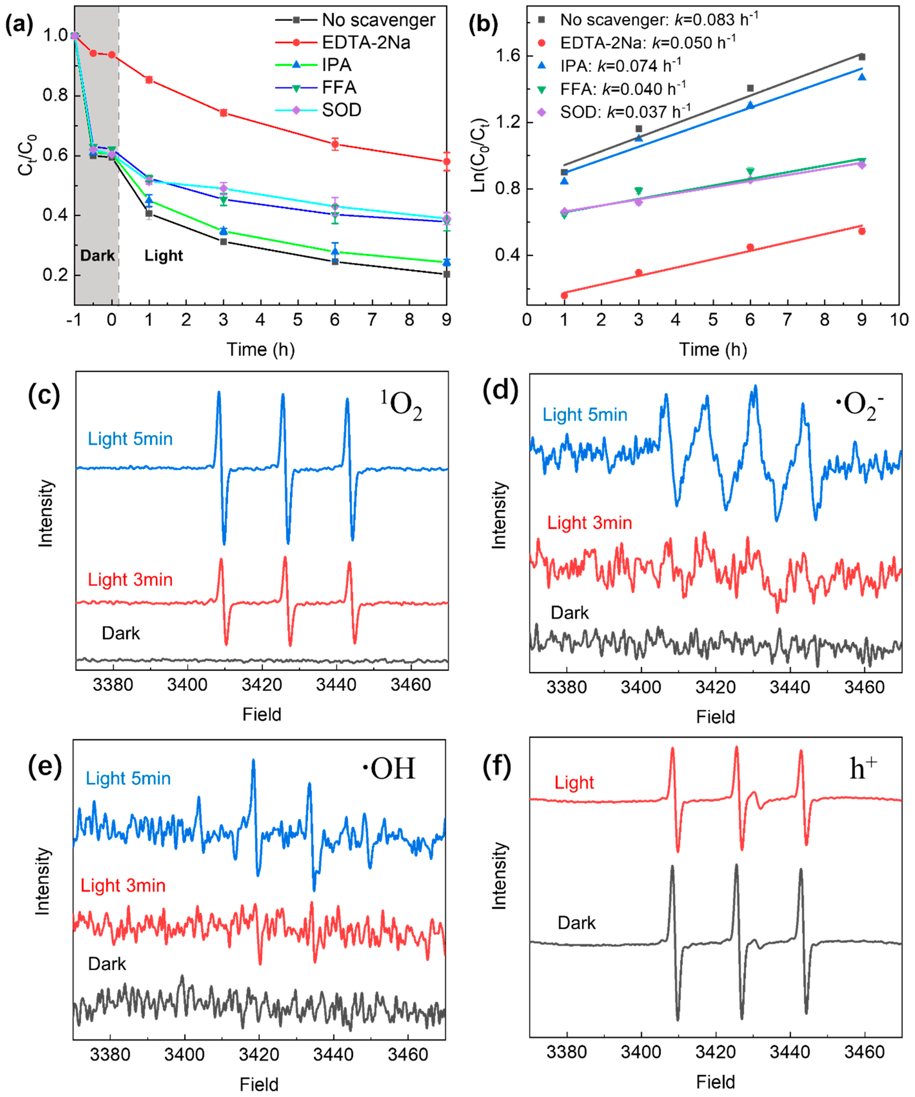 Molecules 29 03765 g003