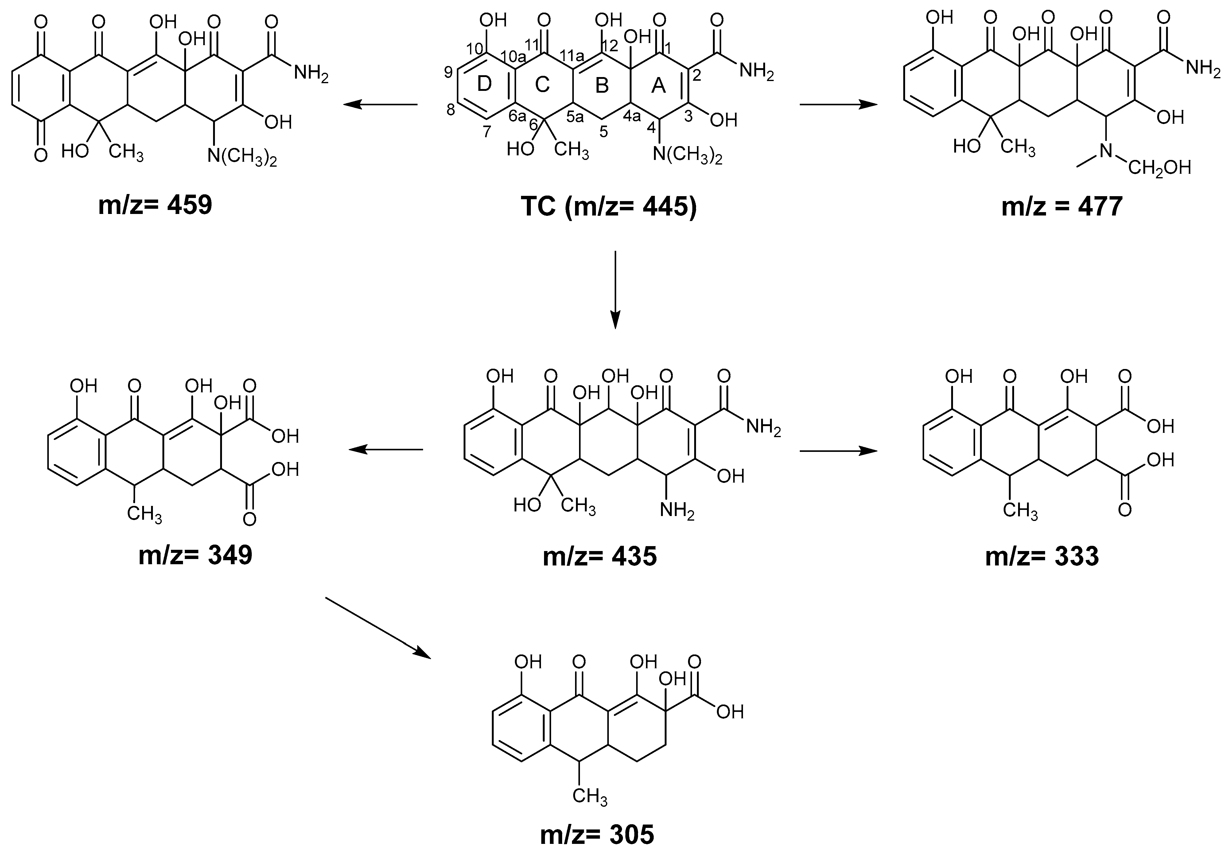 Molecules 29 03765 g007