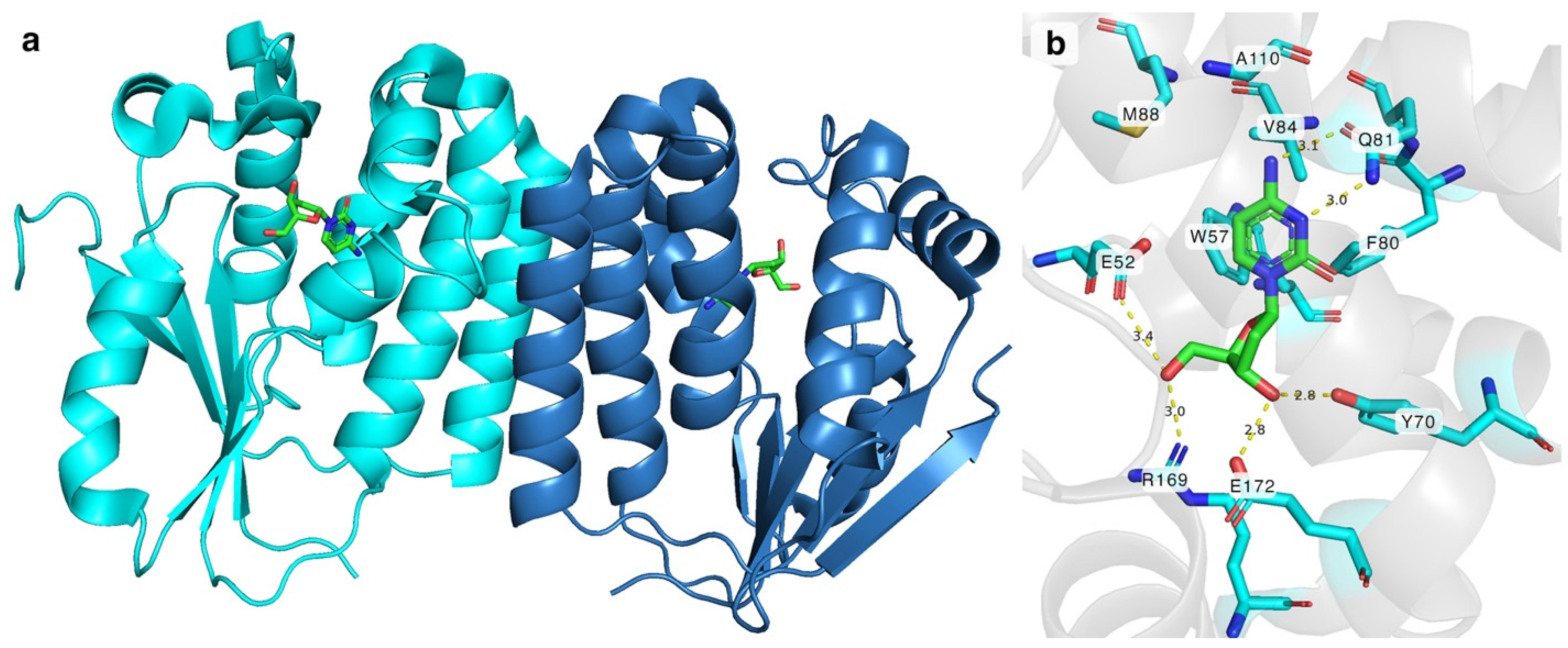 Molecules 29 03767 g001