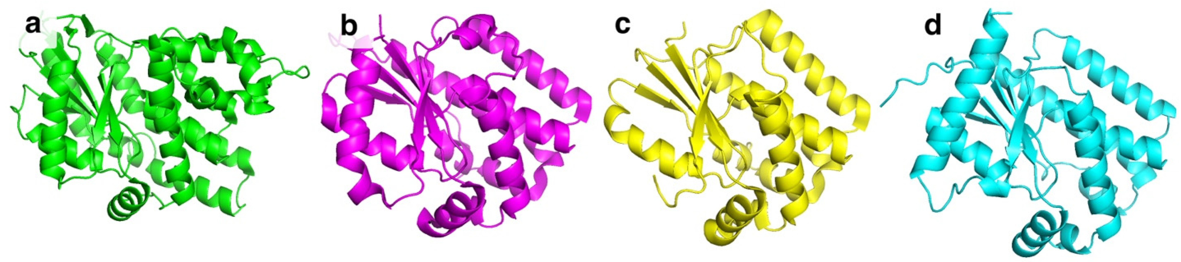 Molecules 29 03767 g002