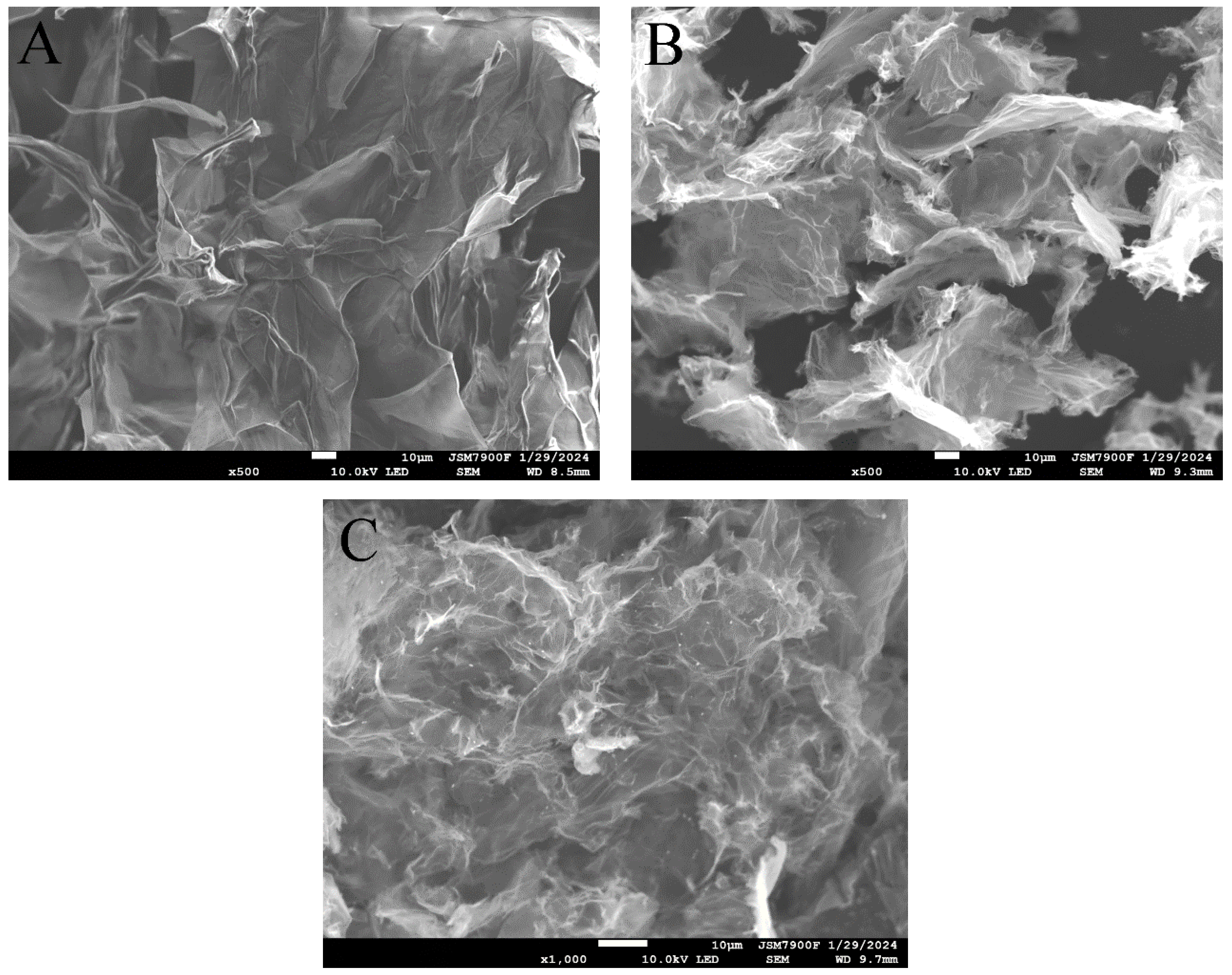 Molecules 29 03768 g001