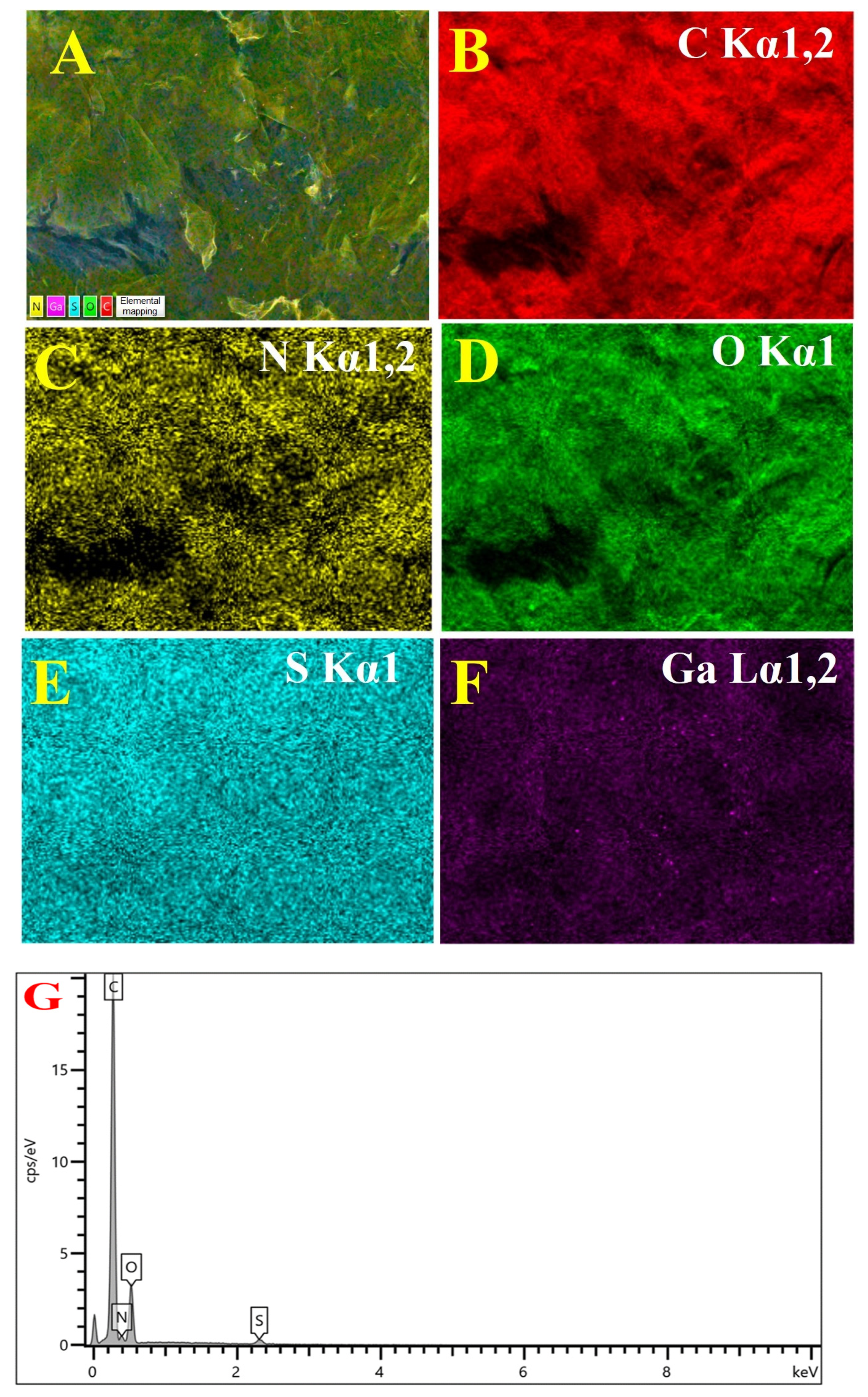 Molecules 29 03768 g002