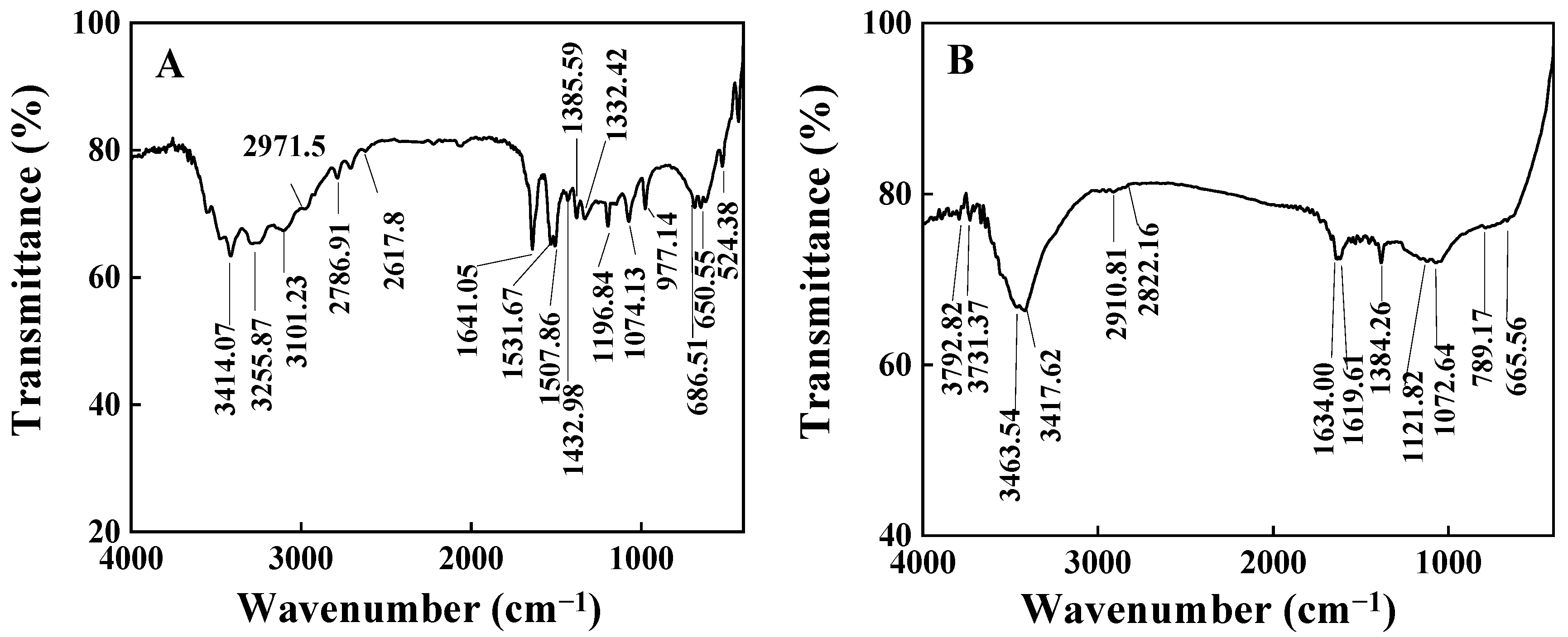 Molecules 29 03768 g003