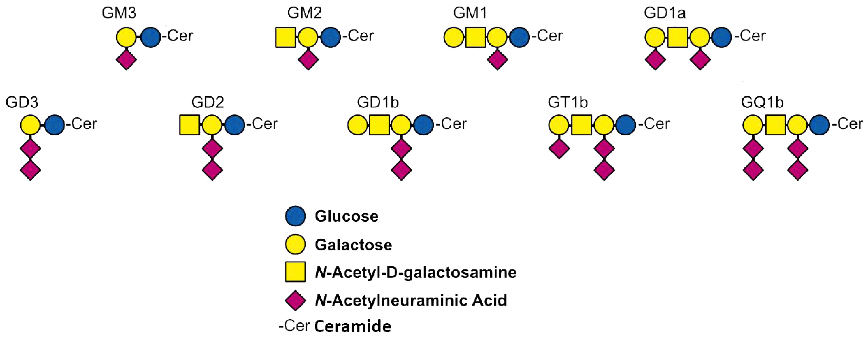 Molecules 29 03769 g001