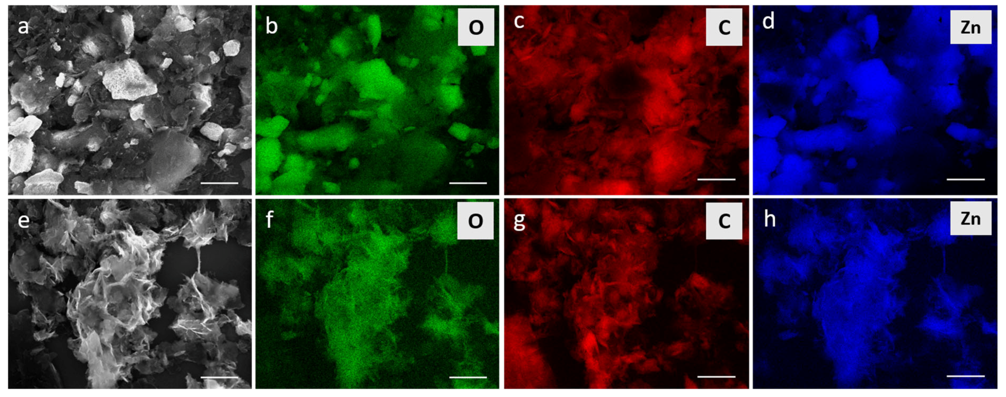 Molecules 29 03770 g005
