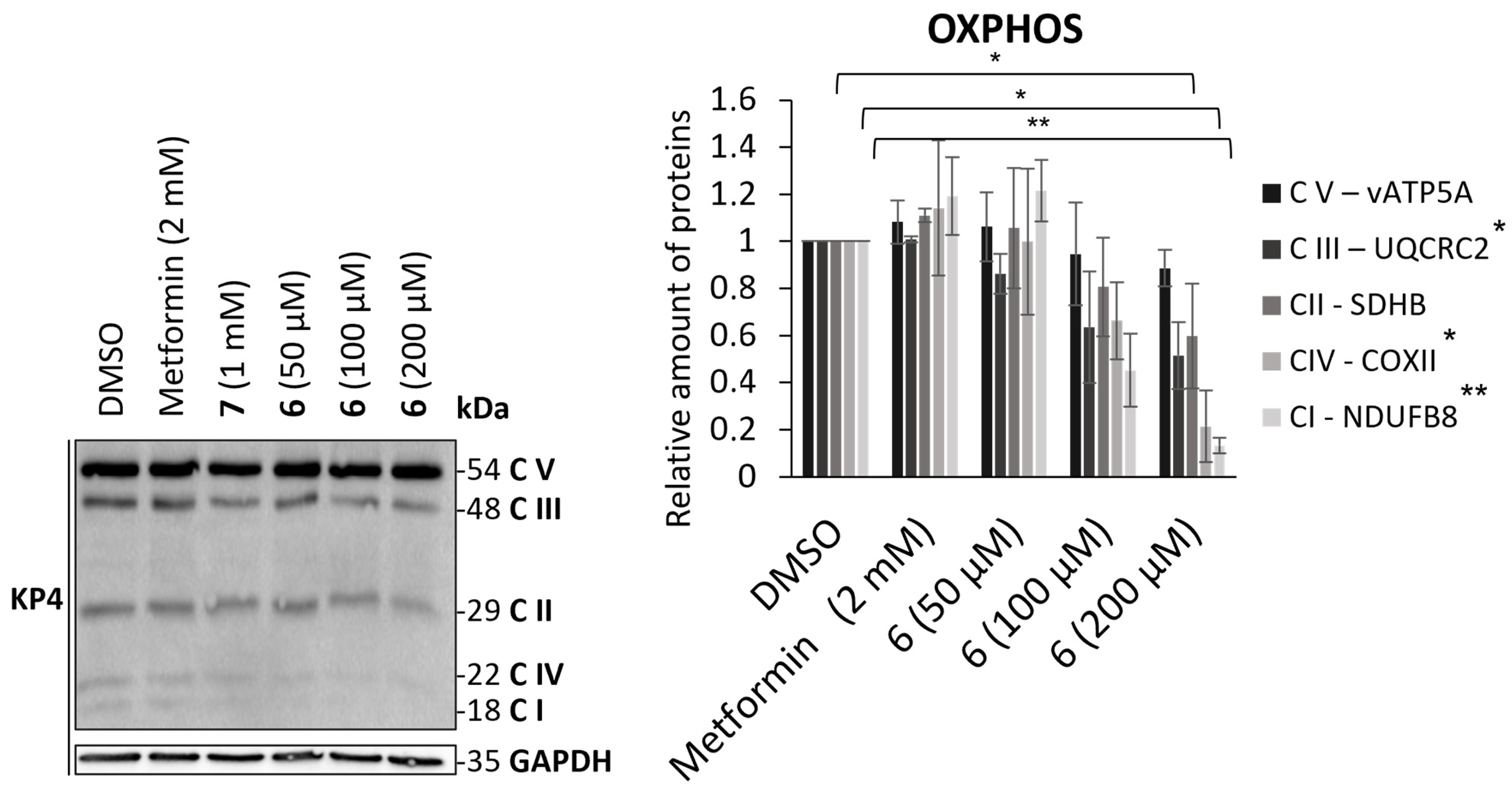 Molecules 29 03773 g004