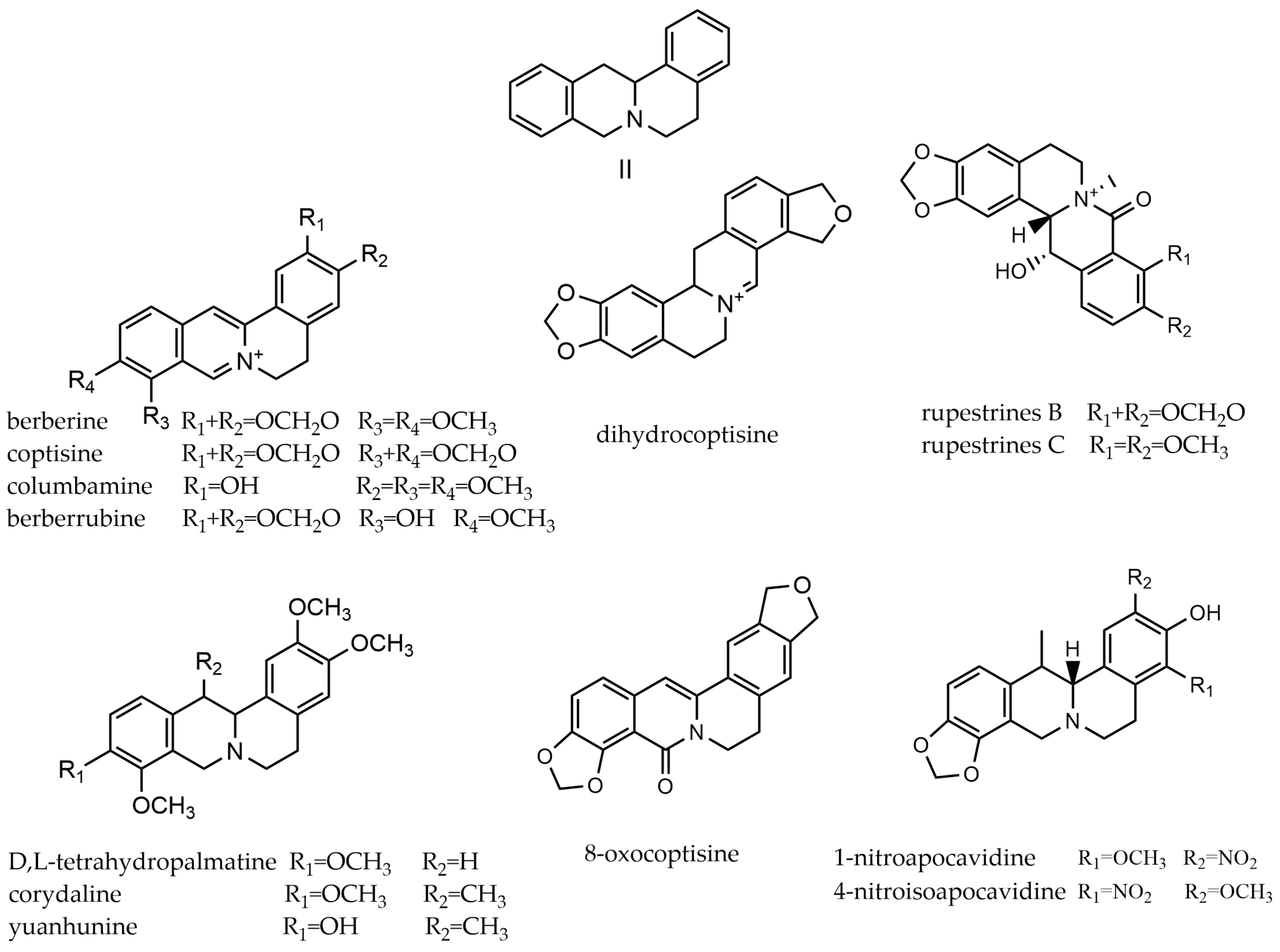 Molecules 29 03778 g004