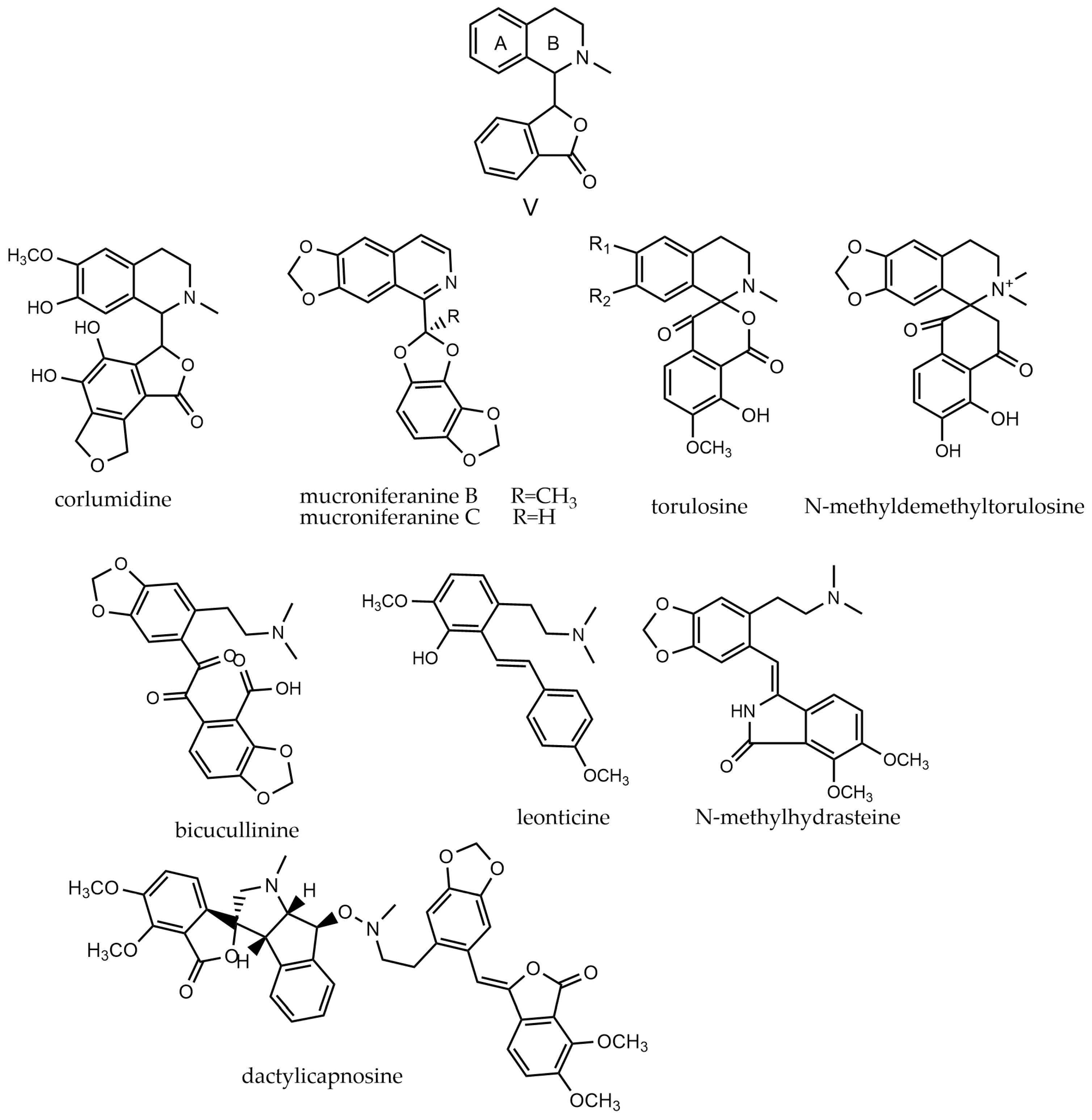 Molecules 29 03778 g007