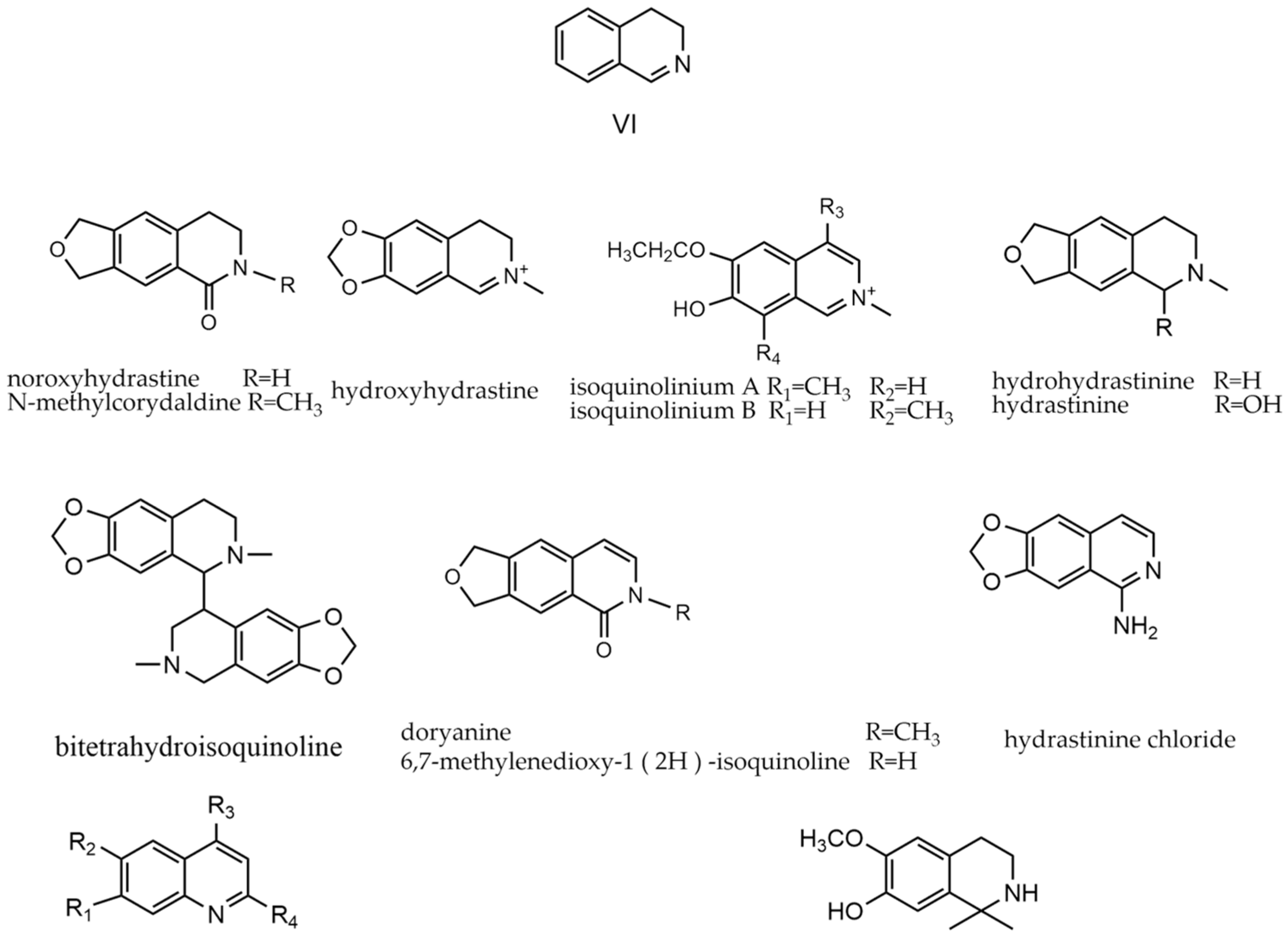 Molecules 29 03778 g008