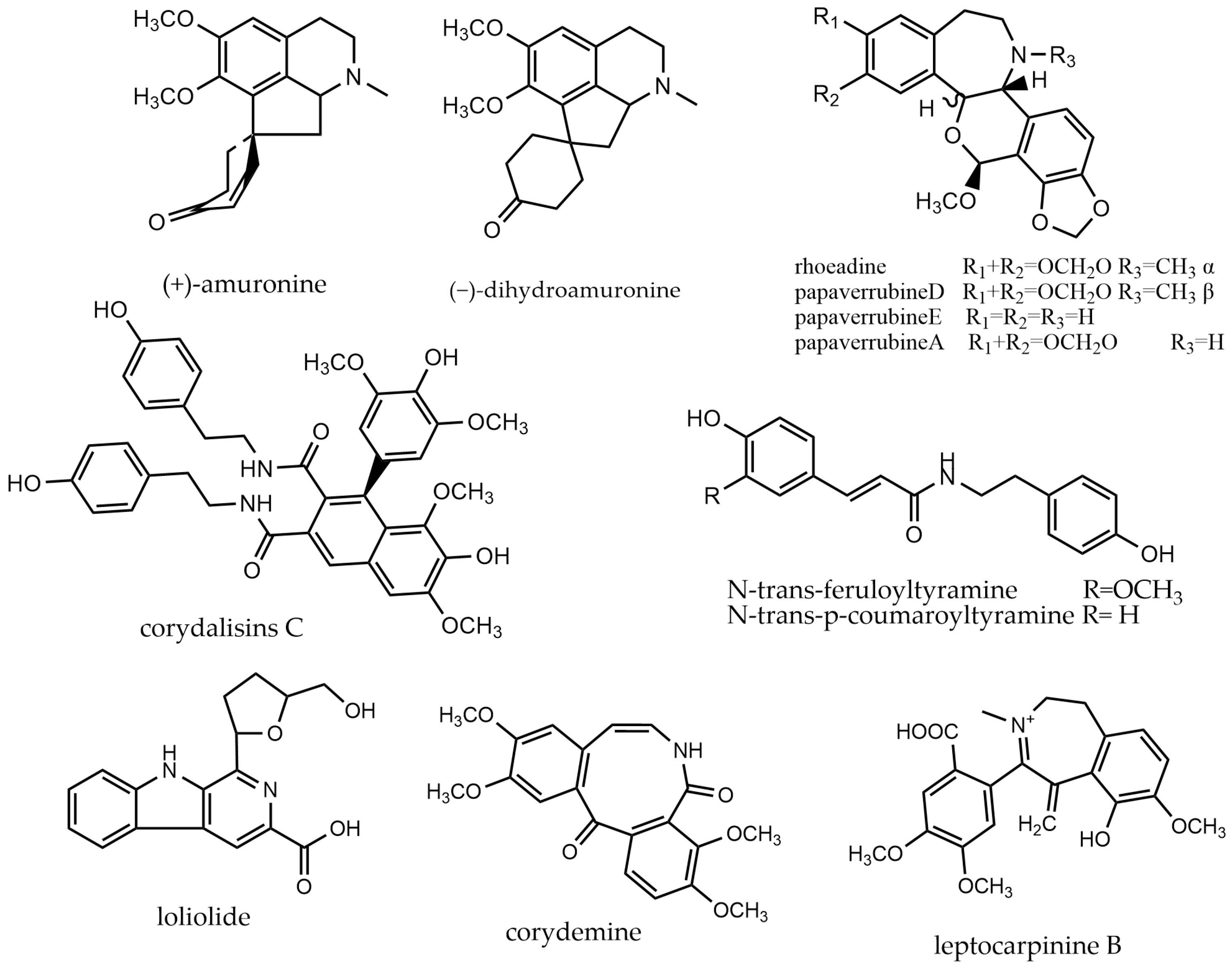 Molecules 29 03778 g011
