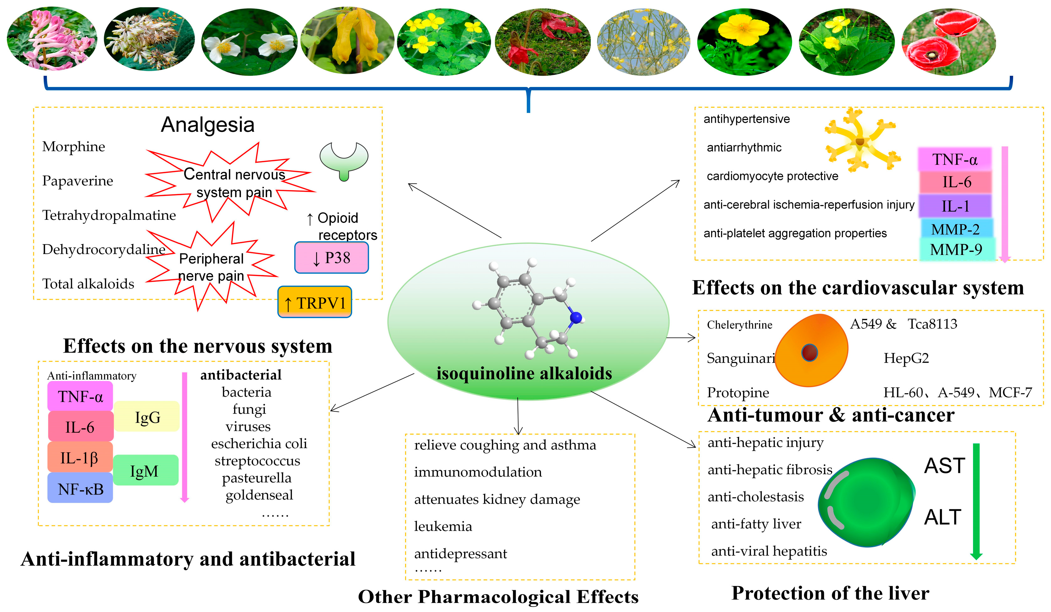Molecules 29 03778 g012