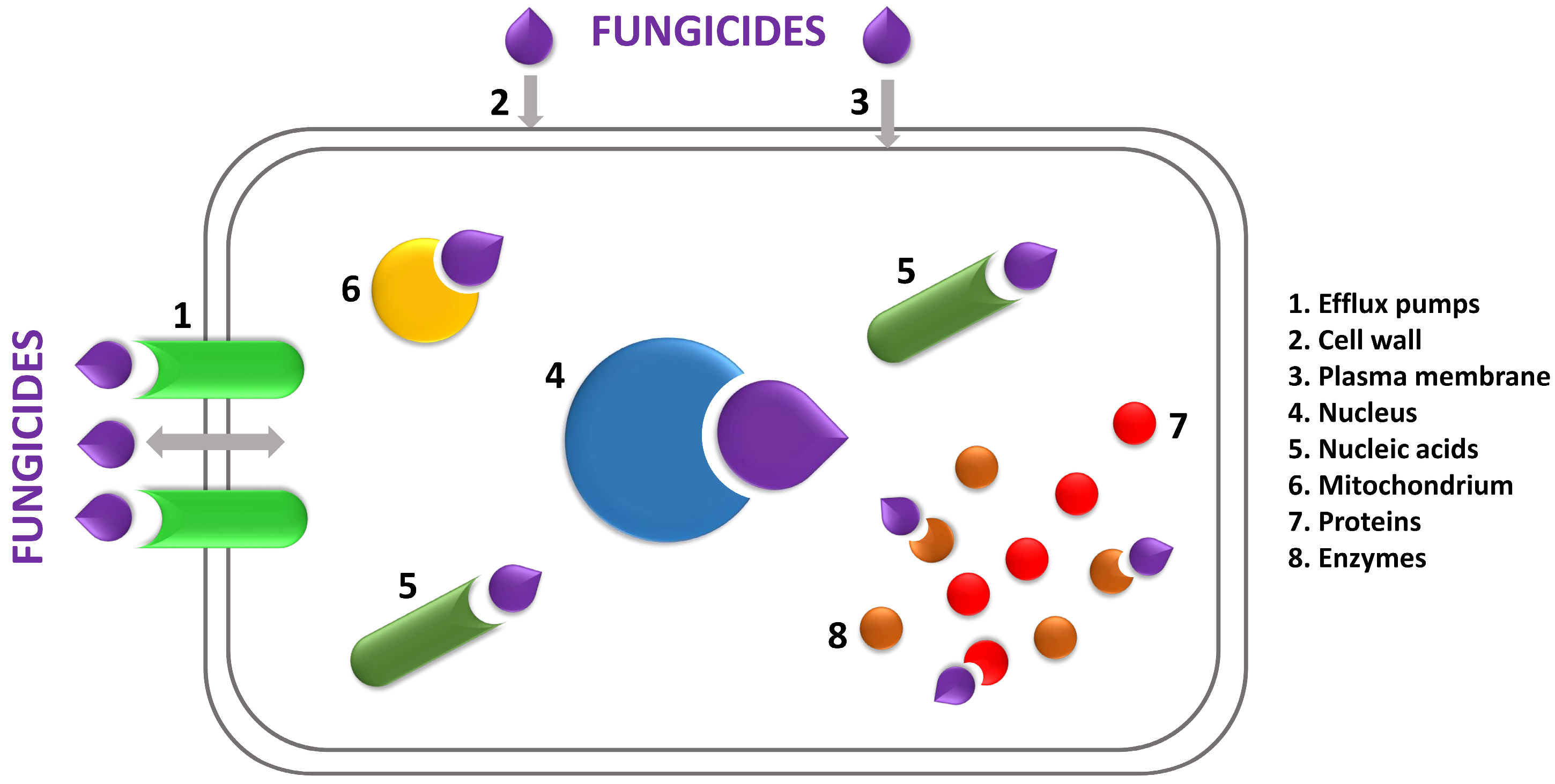 Molecules 29 03780 g003 Molecules 29 03780 g003