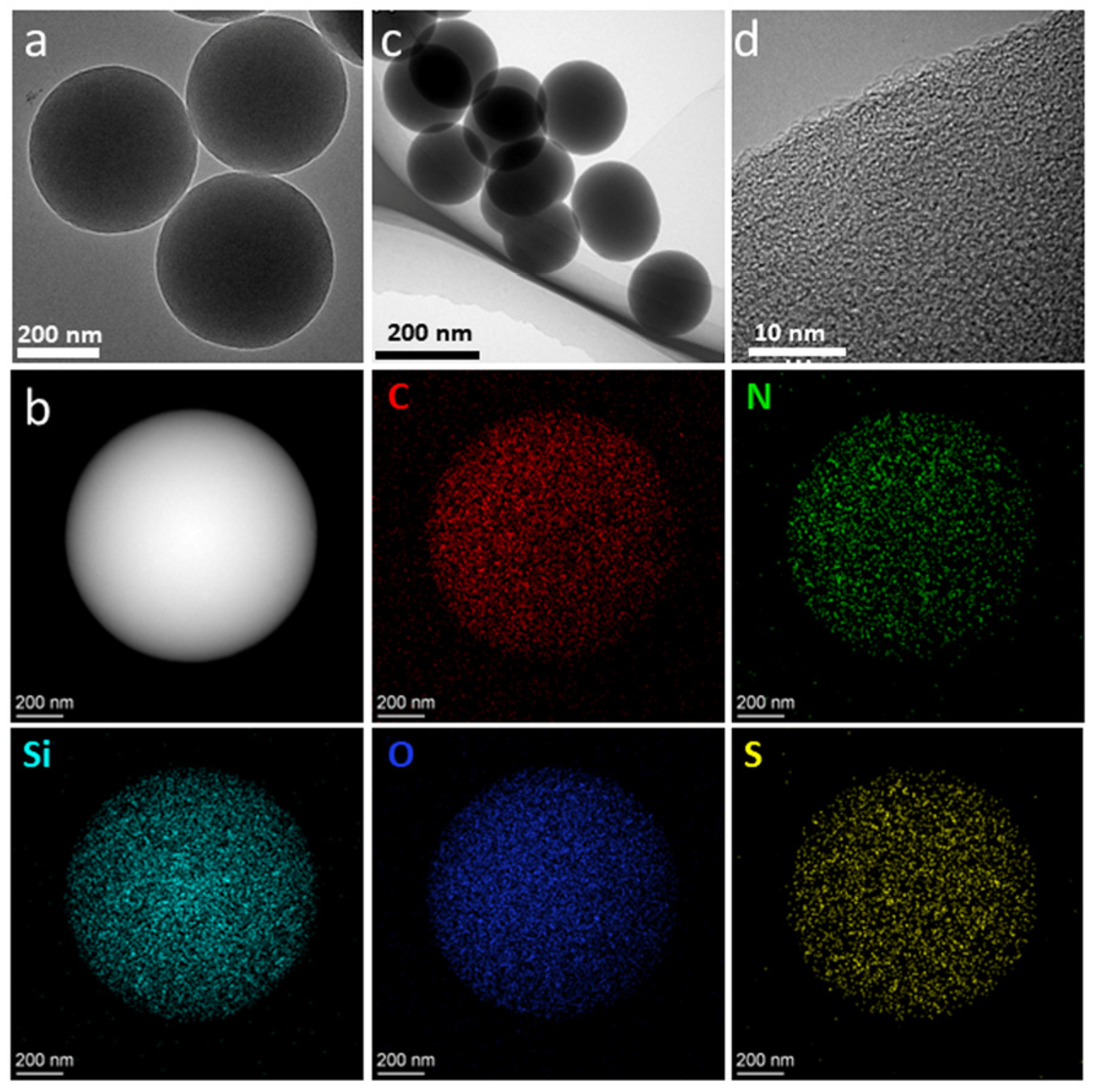 Molecules 29 03785 g001