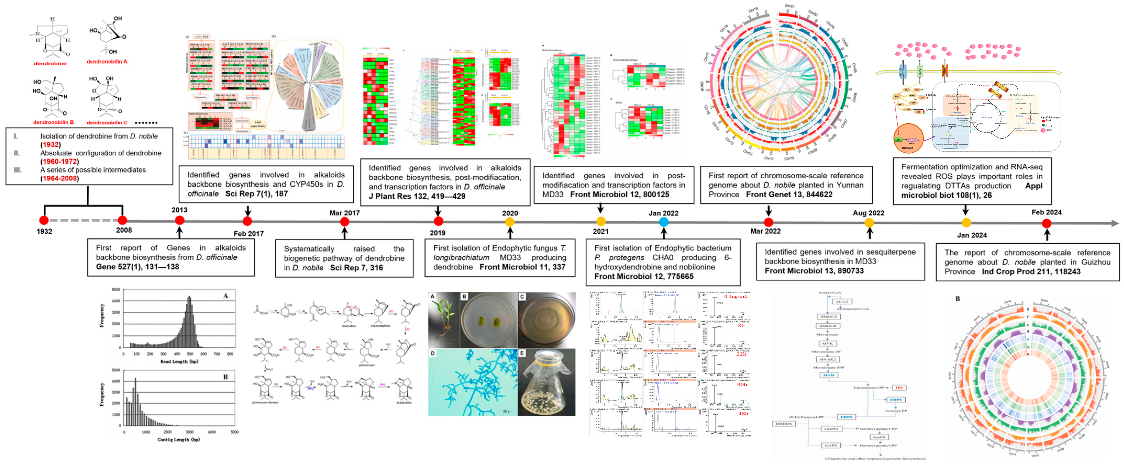Molecules 29 03787 g001