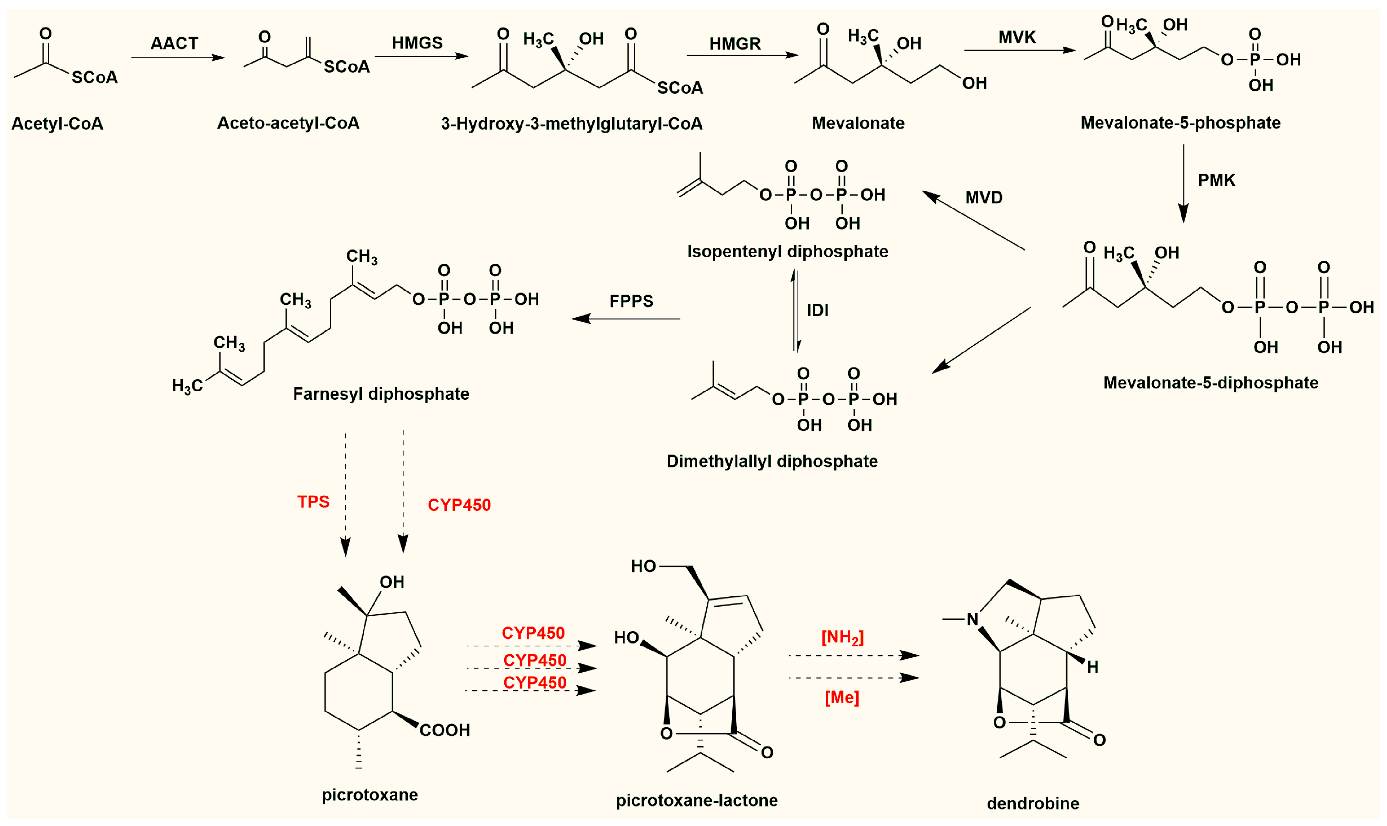 Molecules 29 03787 g005
