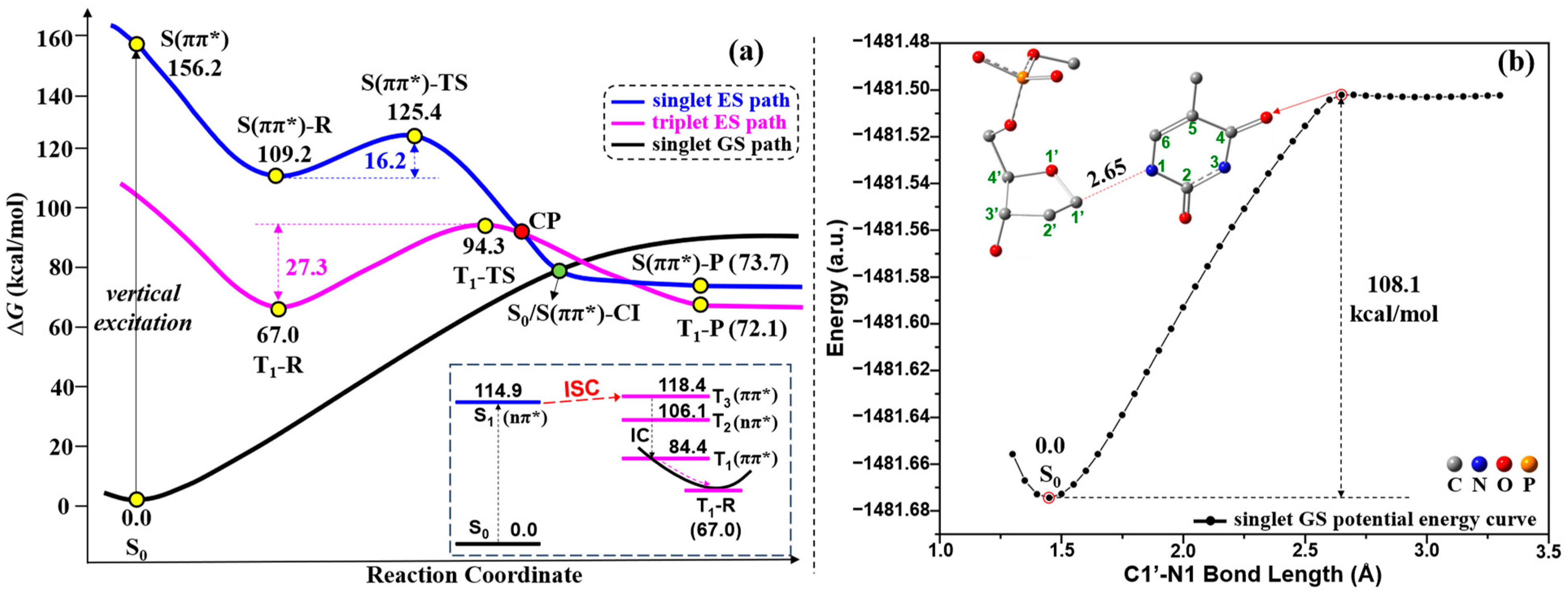 Molecules 29 03789 g006