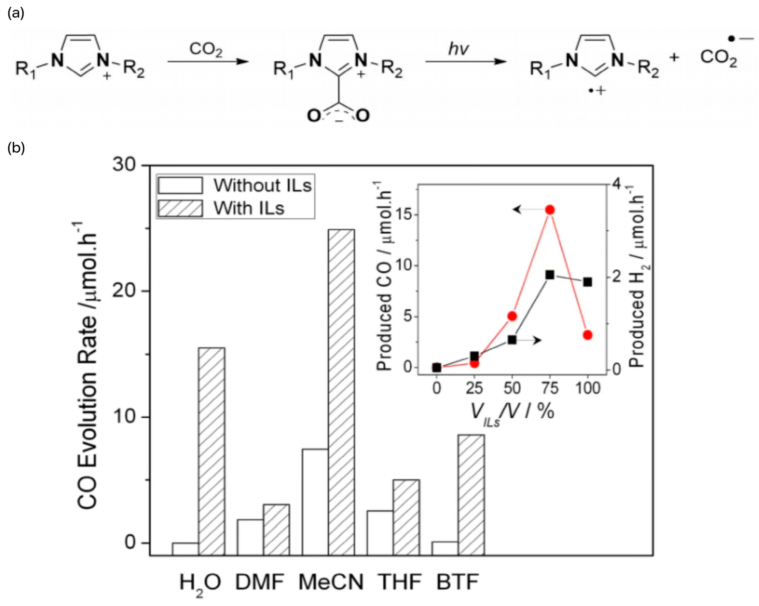 Molecules 29 03805 g007