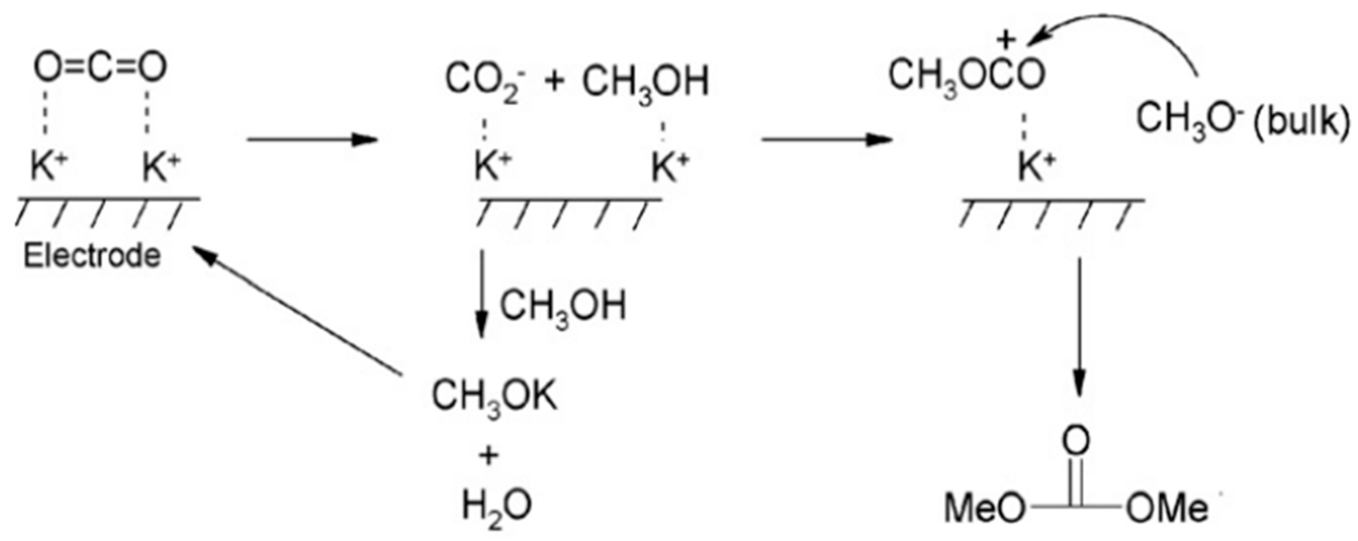 Molecules 29 03805 g008