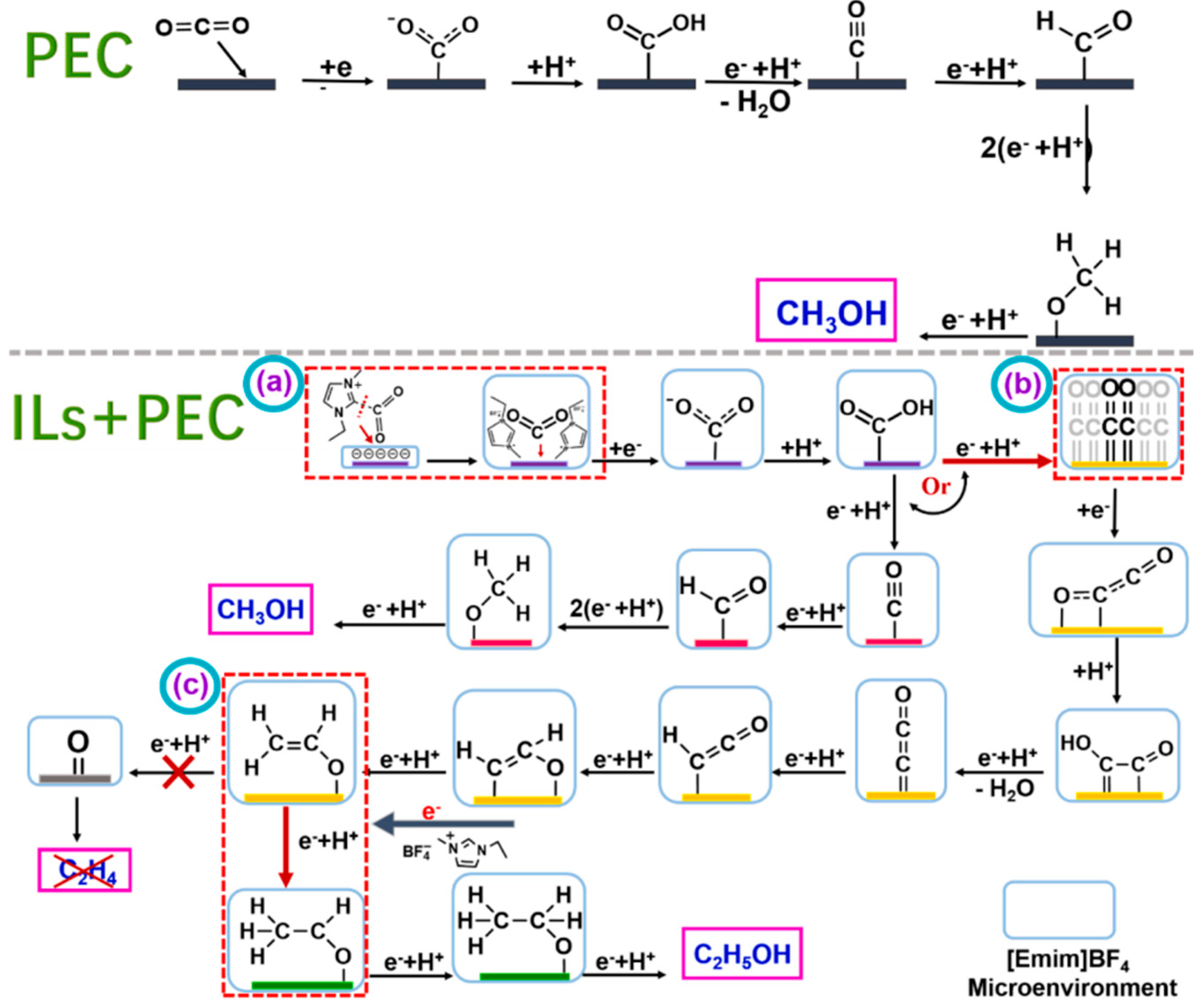 Molecules 29 03805 g009