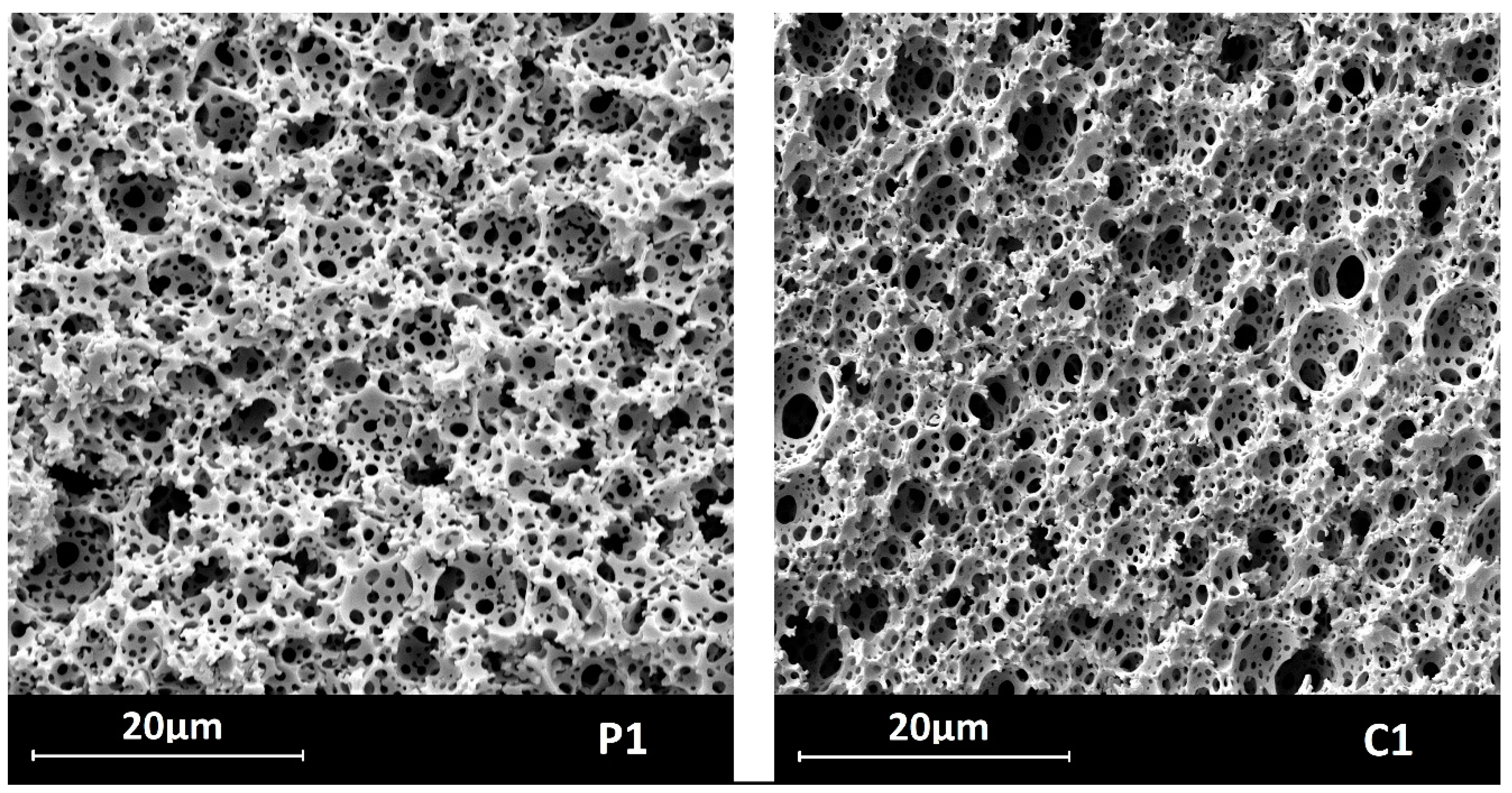 Molecules 29 03808 g004