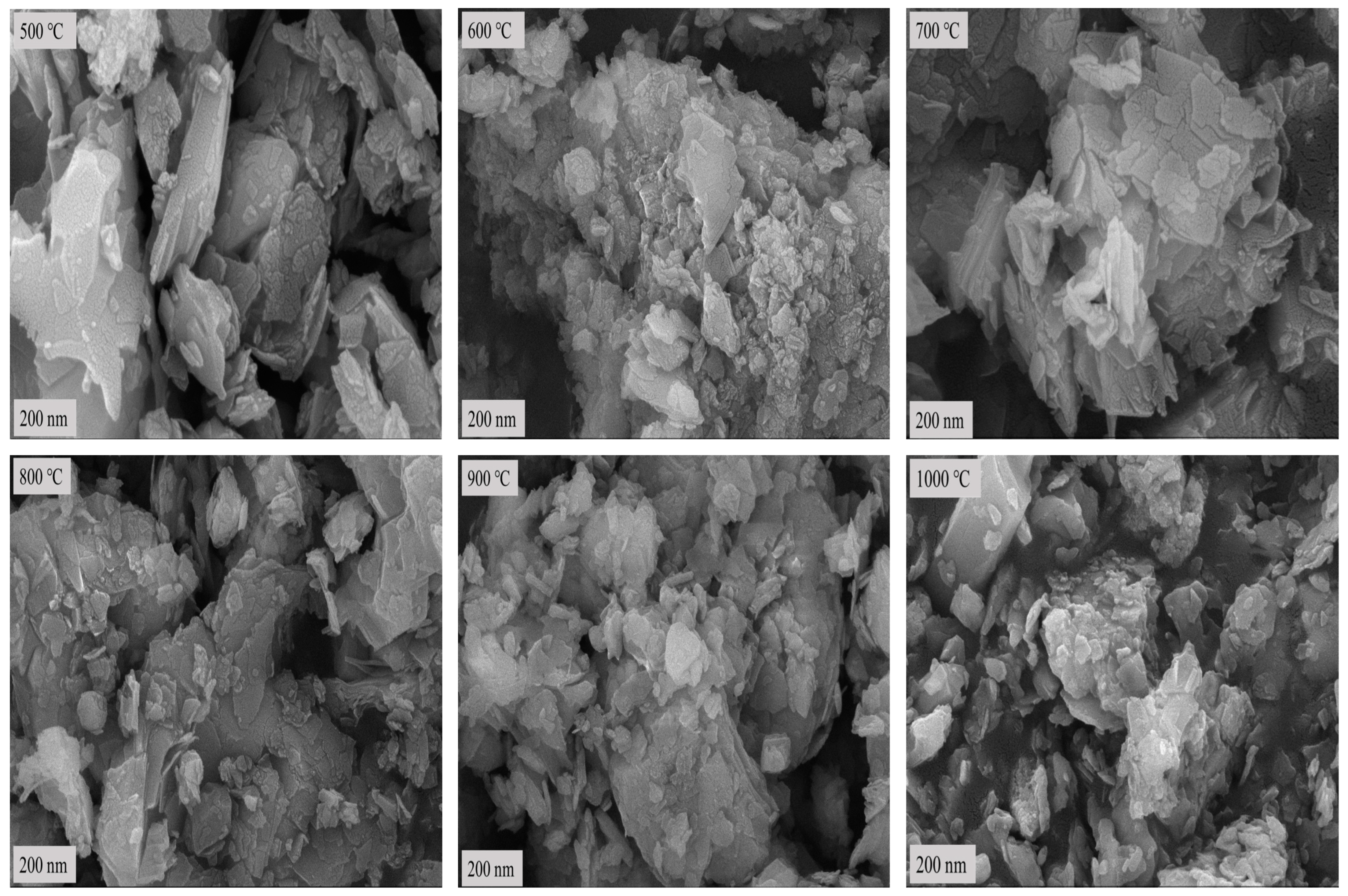 Molecules 29 03813 g005 Molecules 29 03813 g005
