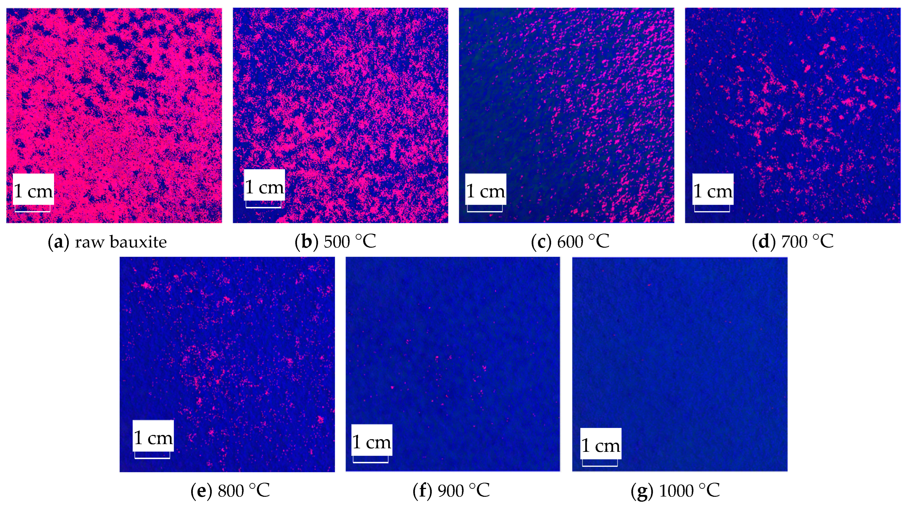 Molecules 29 03813 g012 Molecules 29 03813 g012