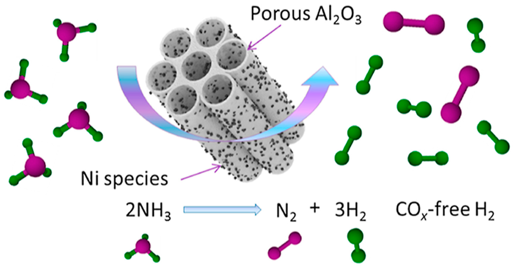 Molecules 29 03817 g001