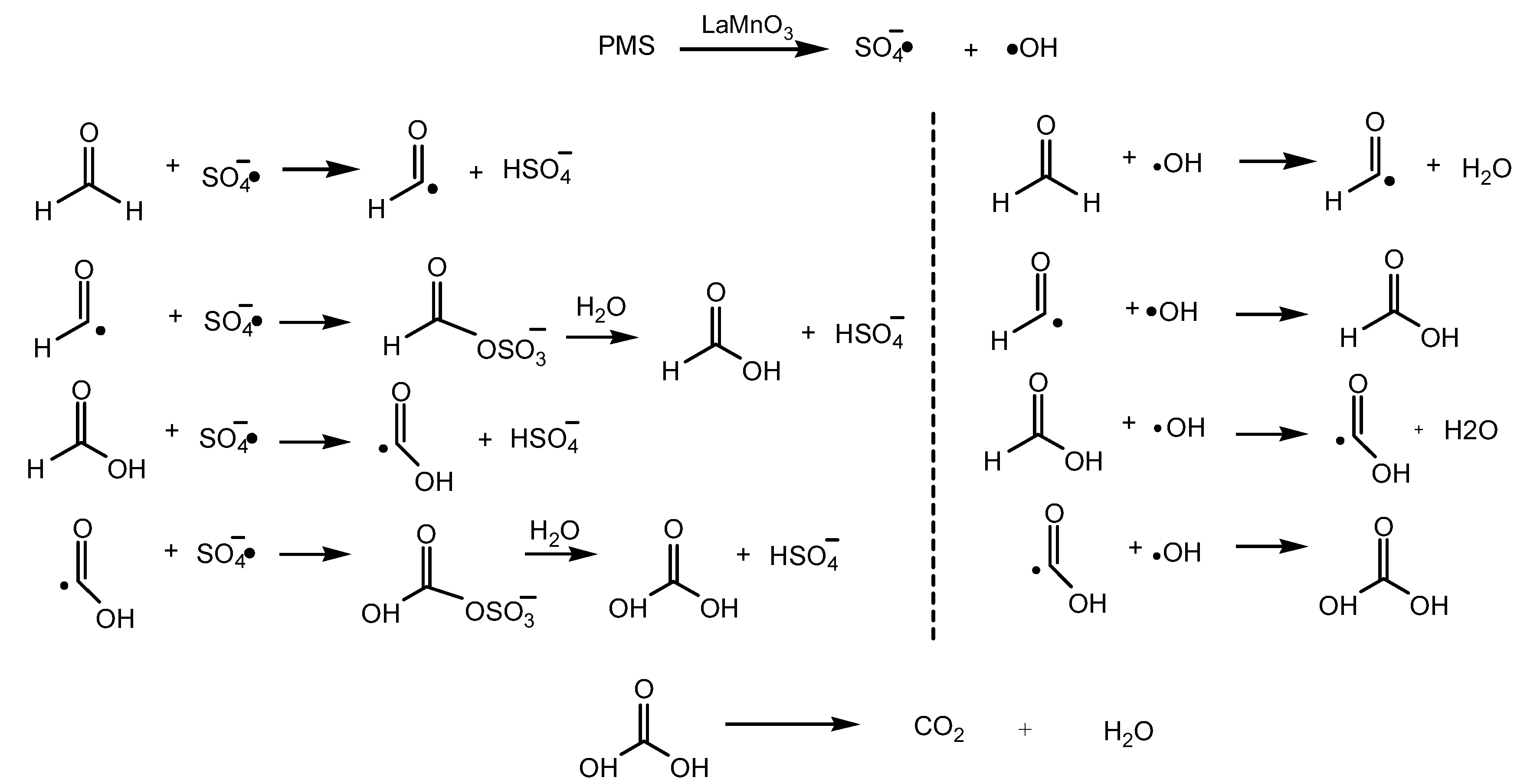 Molecules 29 03822 g011