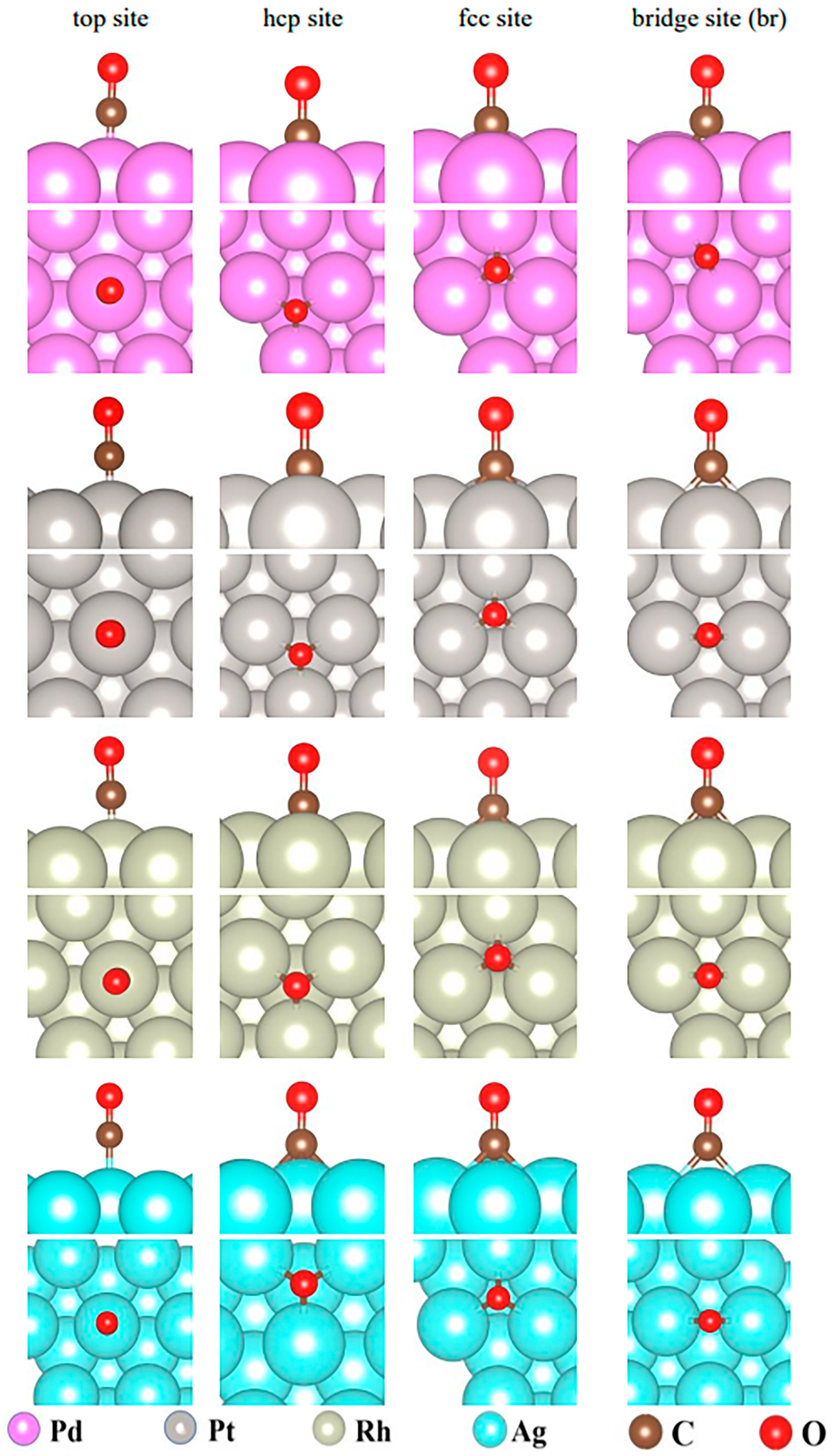 Molecules 29 03843 g005